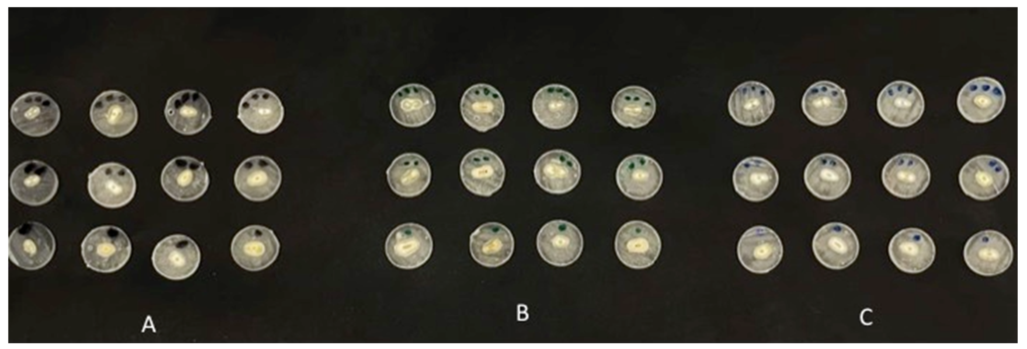 Coatings 12 01176 g002