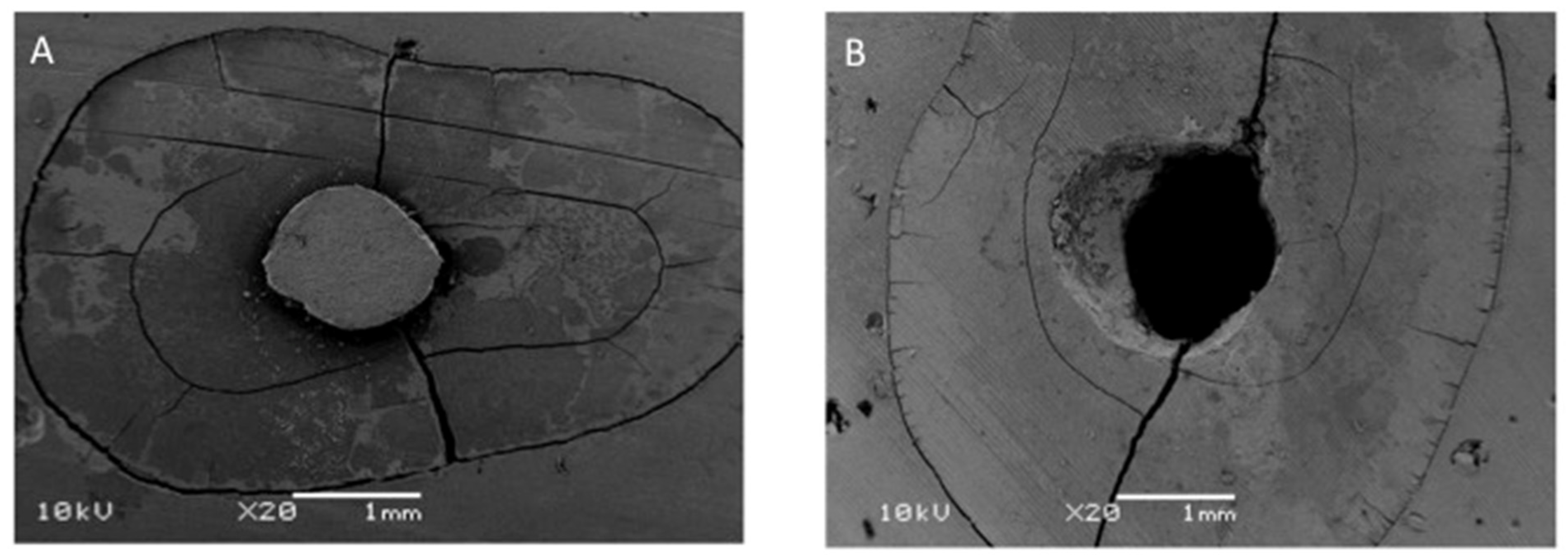 Coatings 12 01176 g007