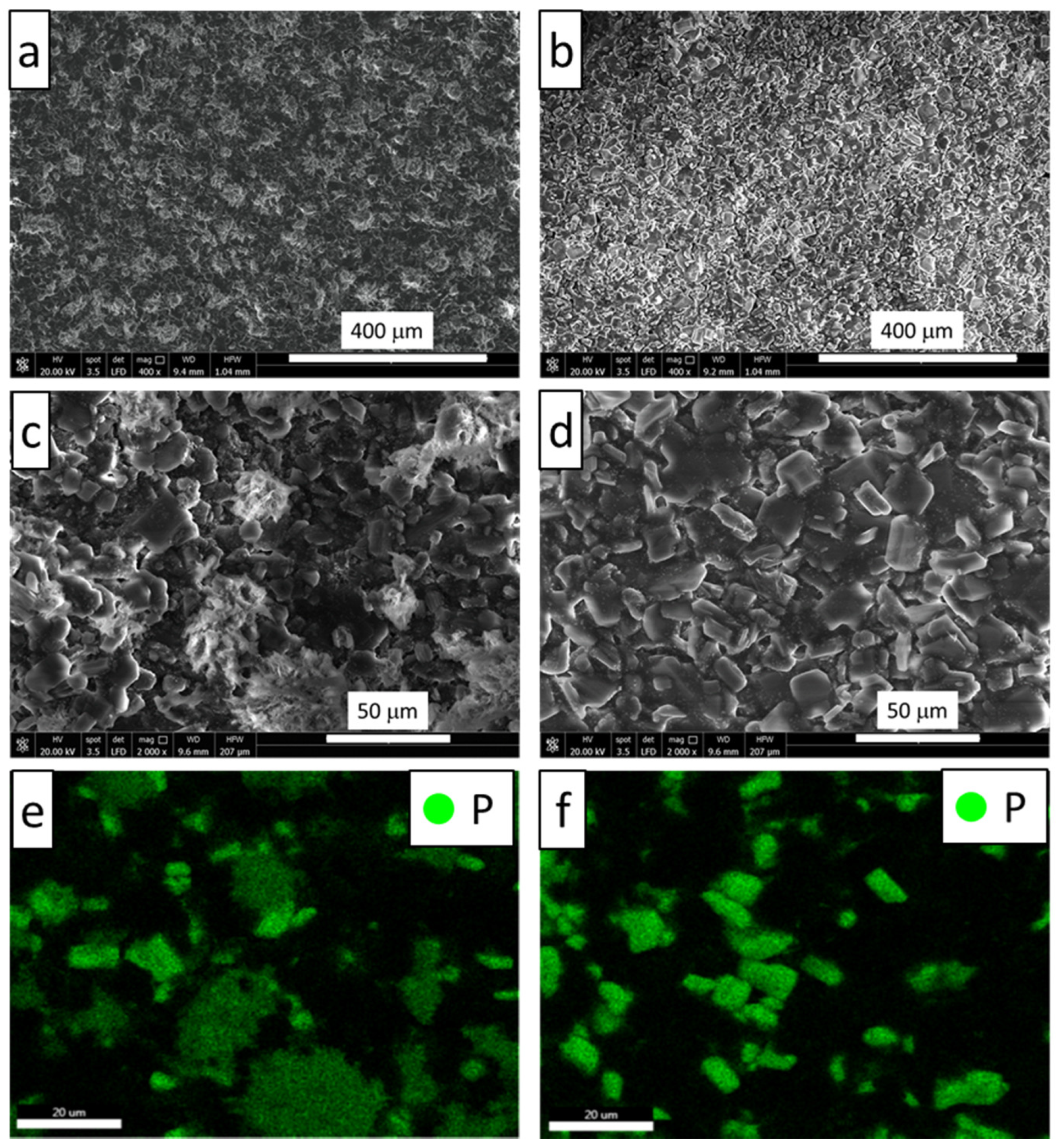 Coatings 12 01180 g003