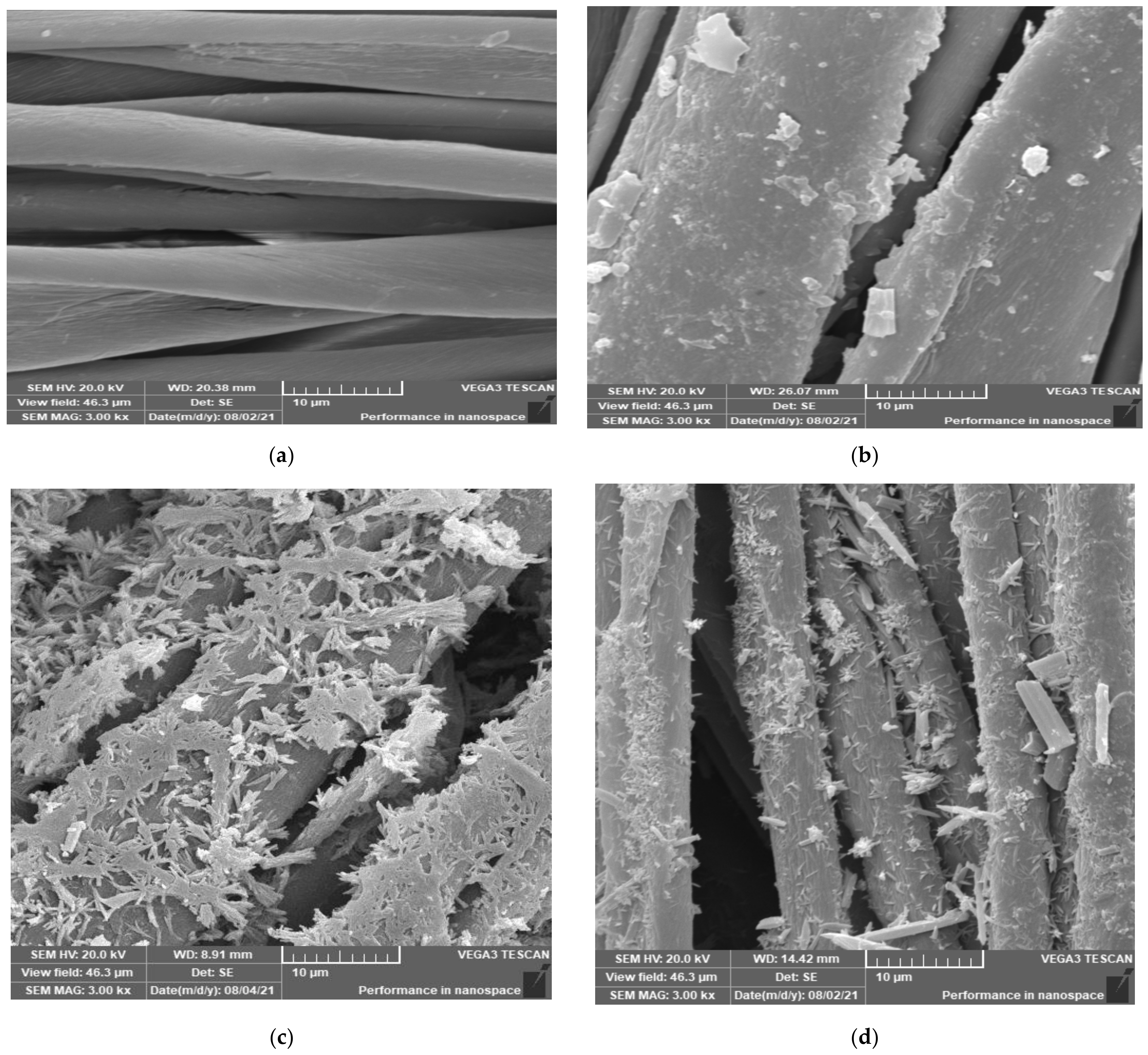 Coatings 12 01181 g006a