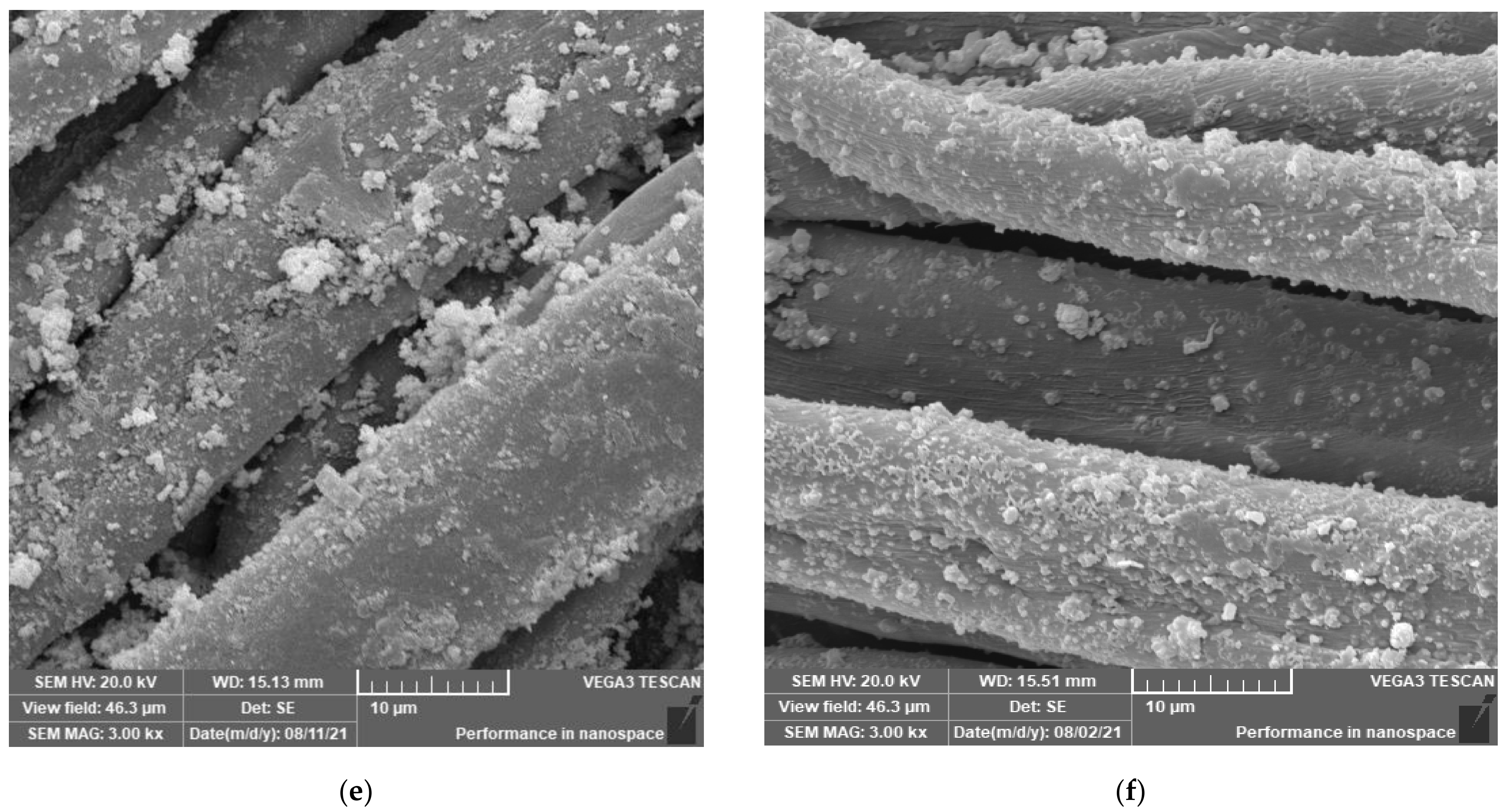 Coatings 12 01181 g006b