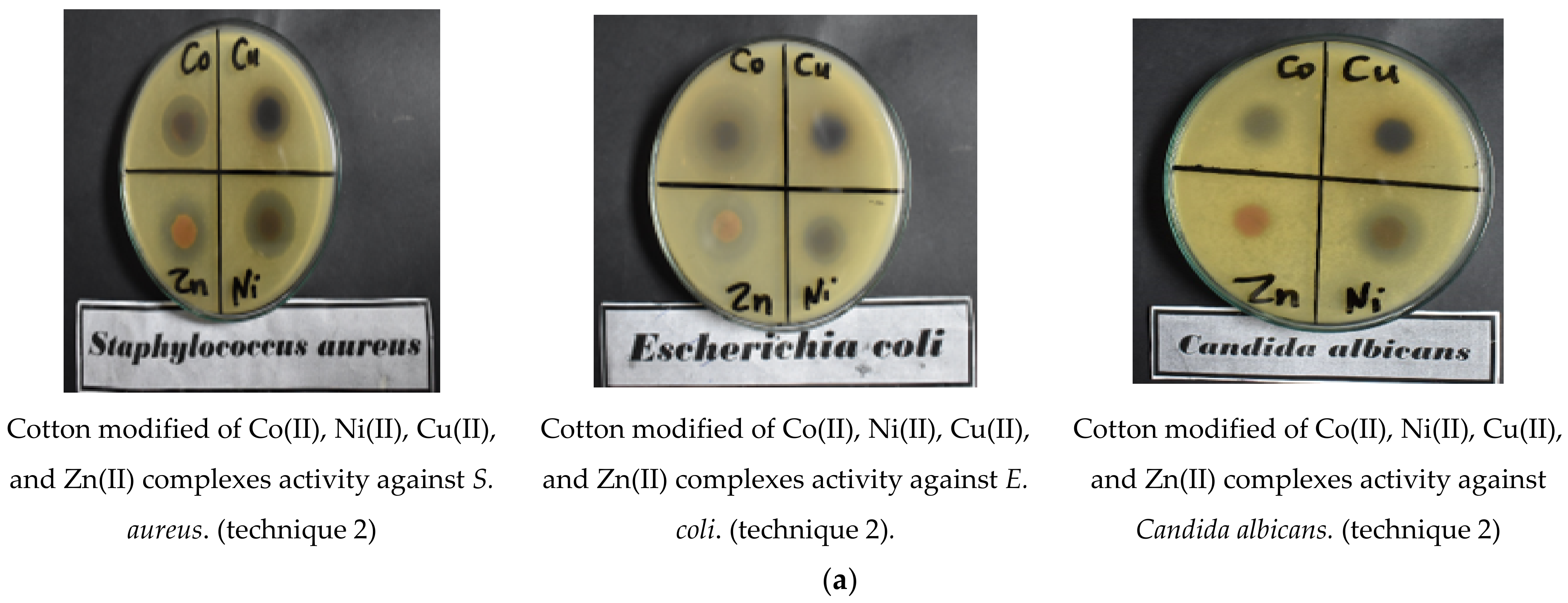 Coatings 12 01181 g007a
