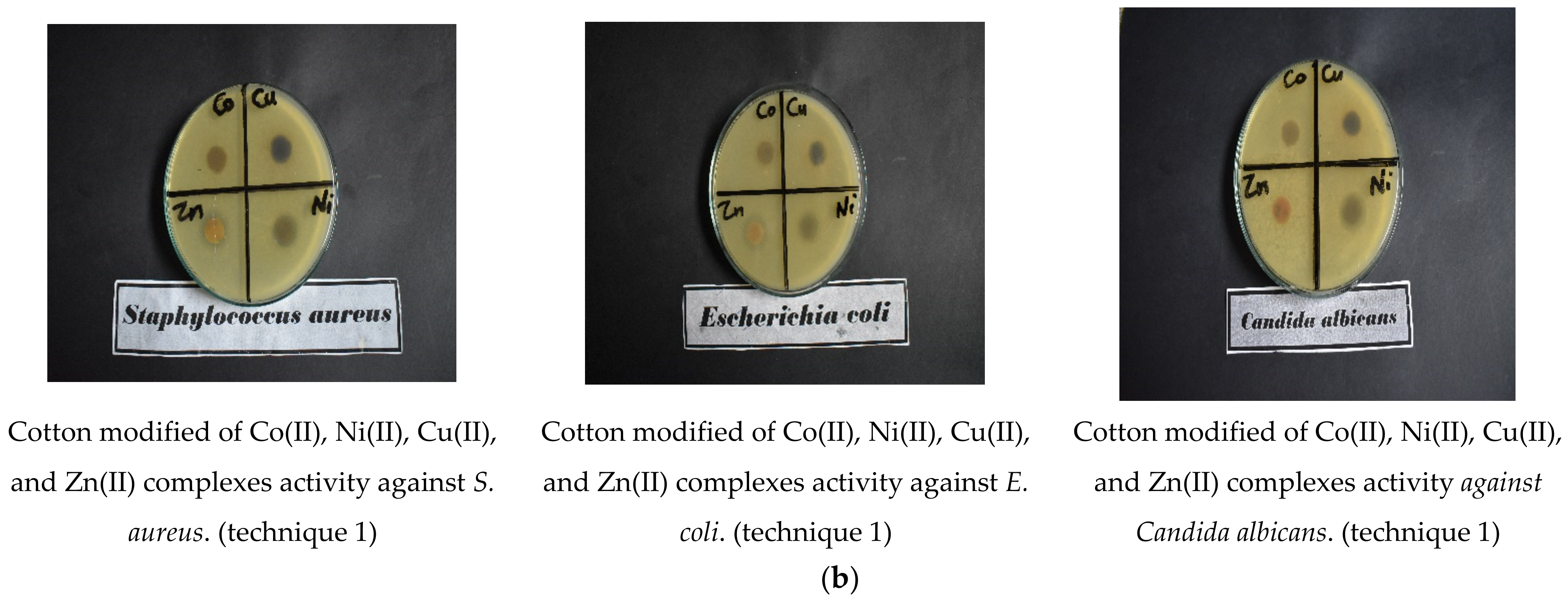 Coatings 12 01181 g007b