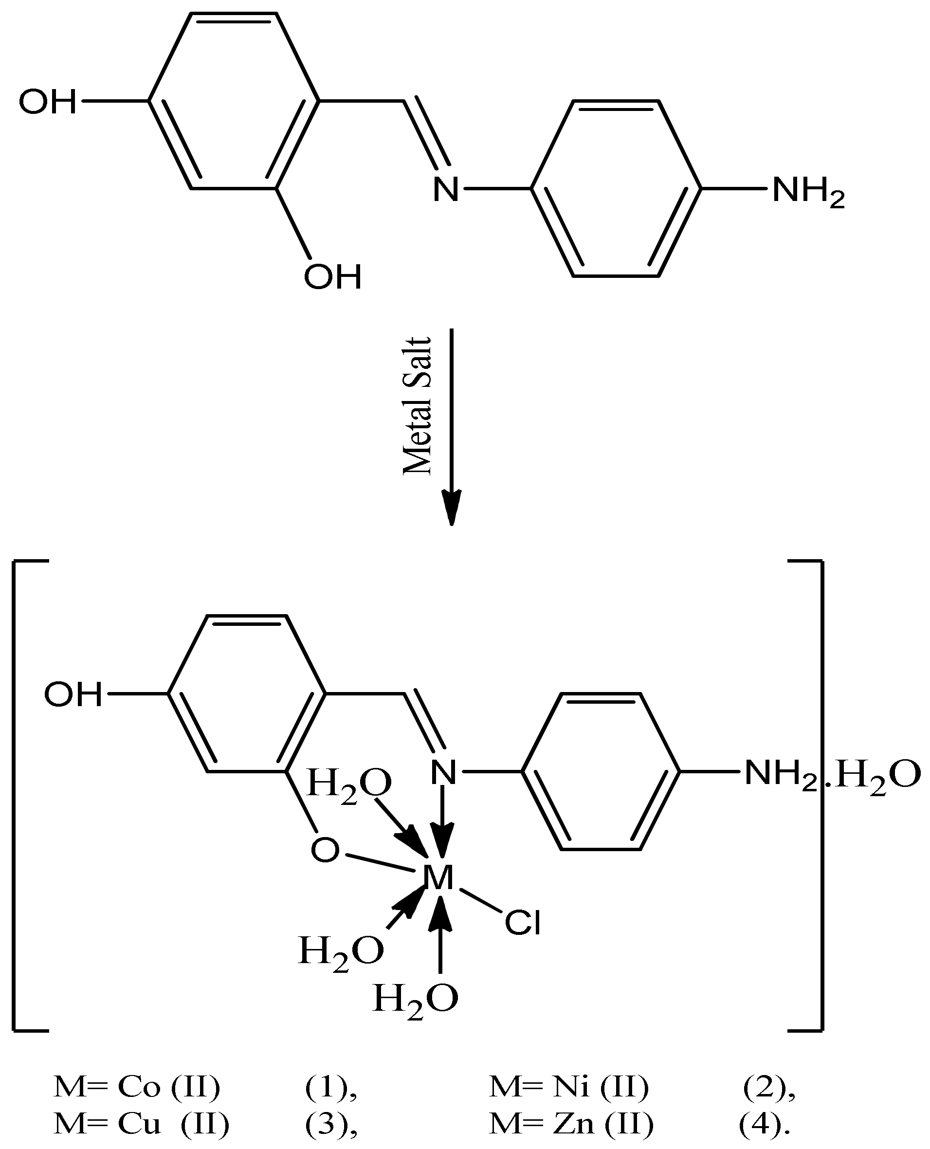 Coatings 12 01181 sch002
