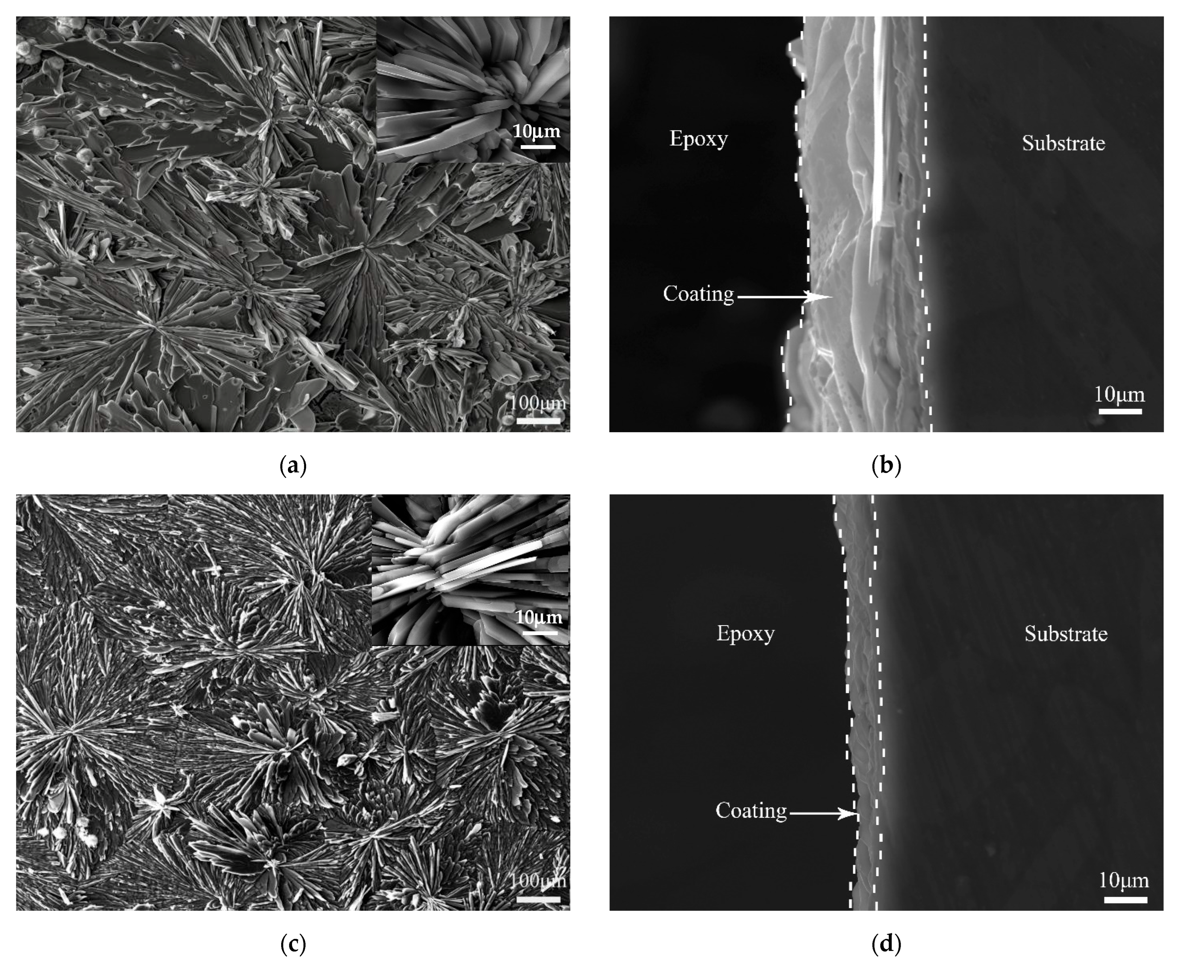 Coatings 12 01182 g001 Coatings 12 01182 g001