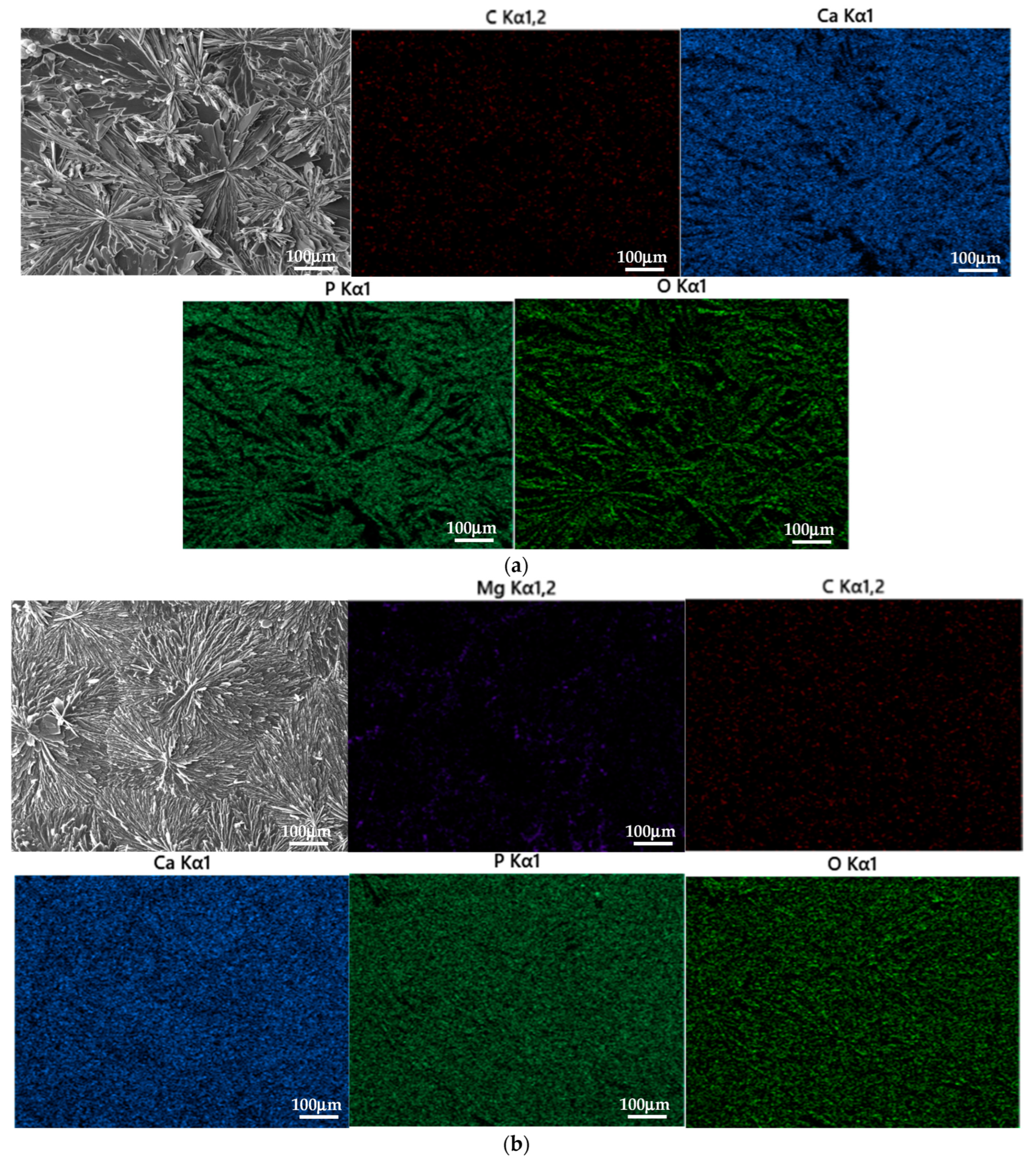 Coatings 12 01182 g002 Coatings 12 01182 g002