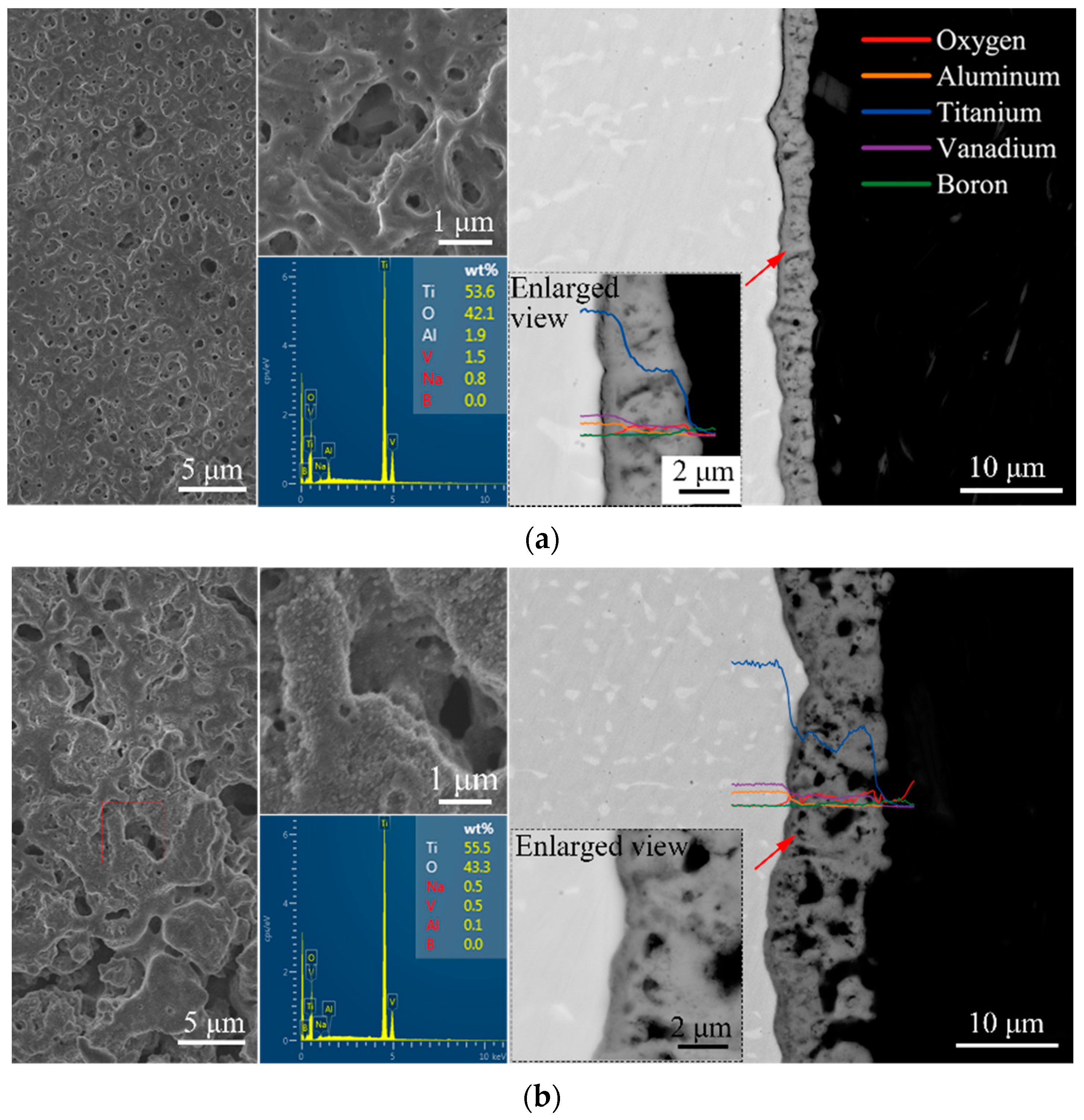 Coatings 12 01191 g003