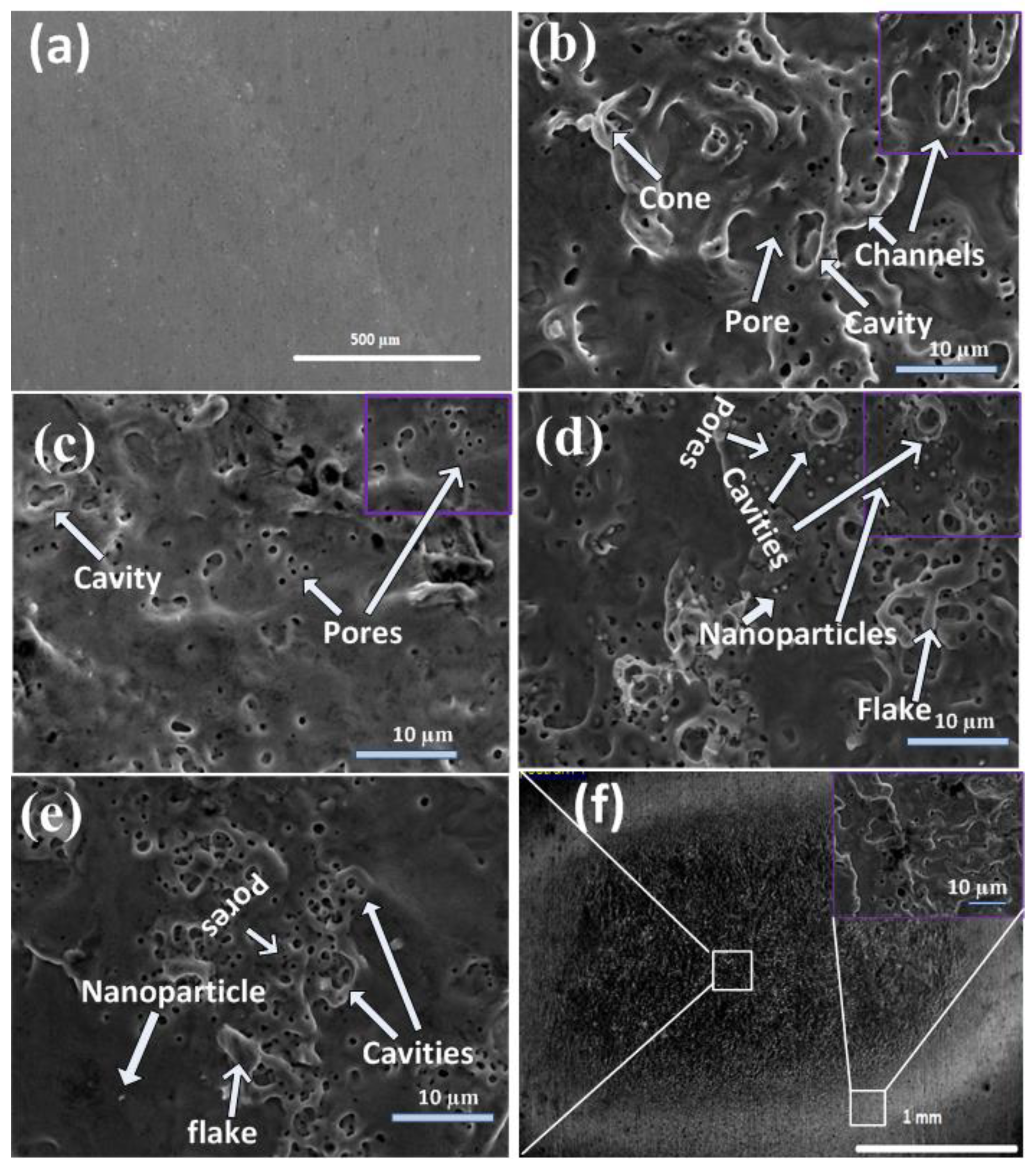 Coatings 12 01193 g001