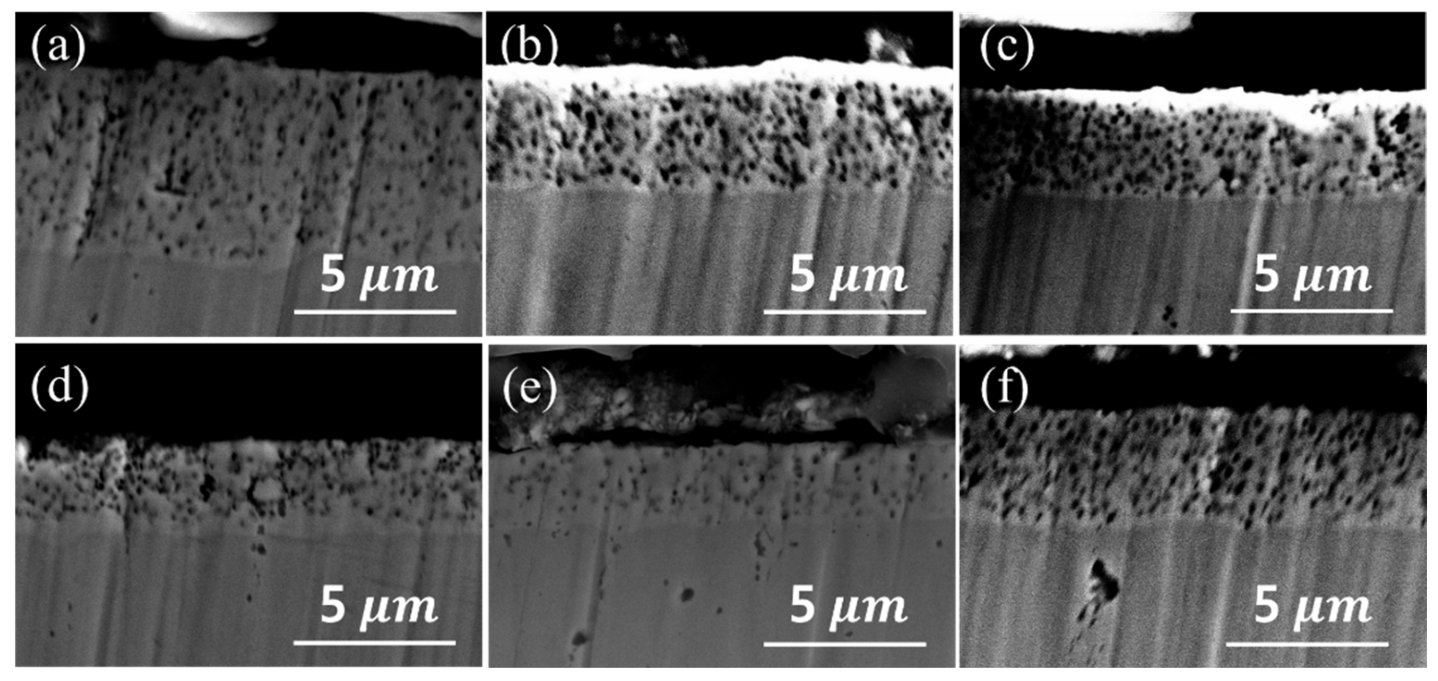 Coatings 12 01199 g004