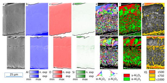 Coatings 12 01205 g006 550