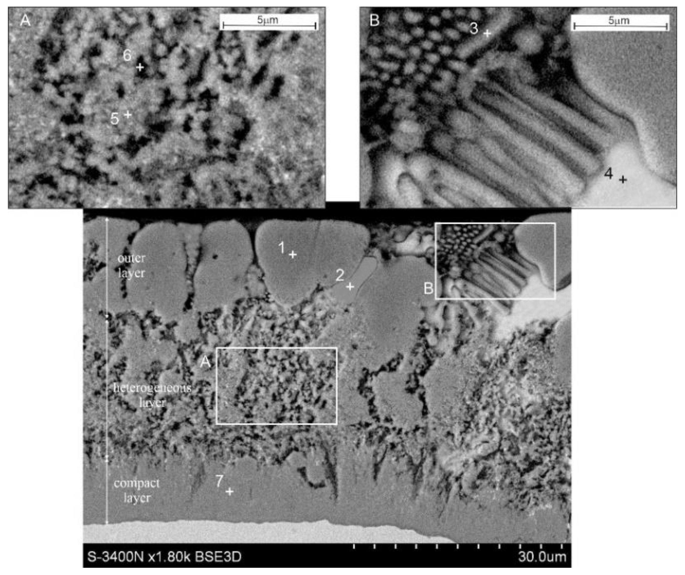 Coatings 12 01207 g001