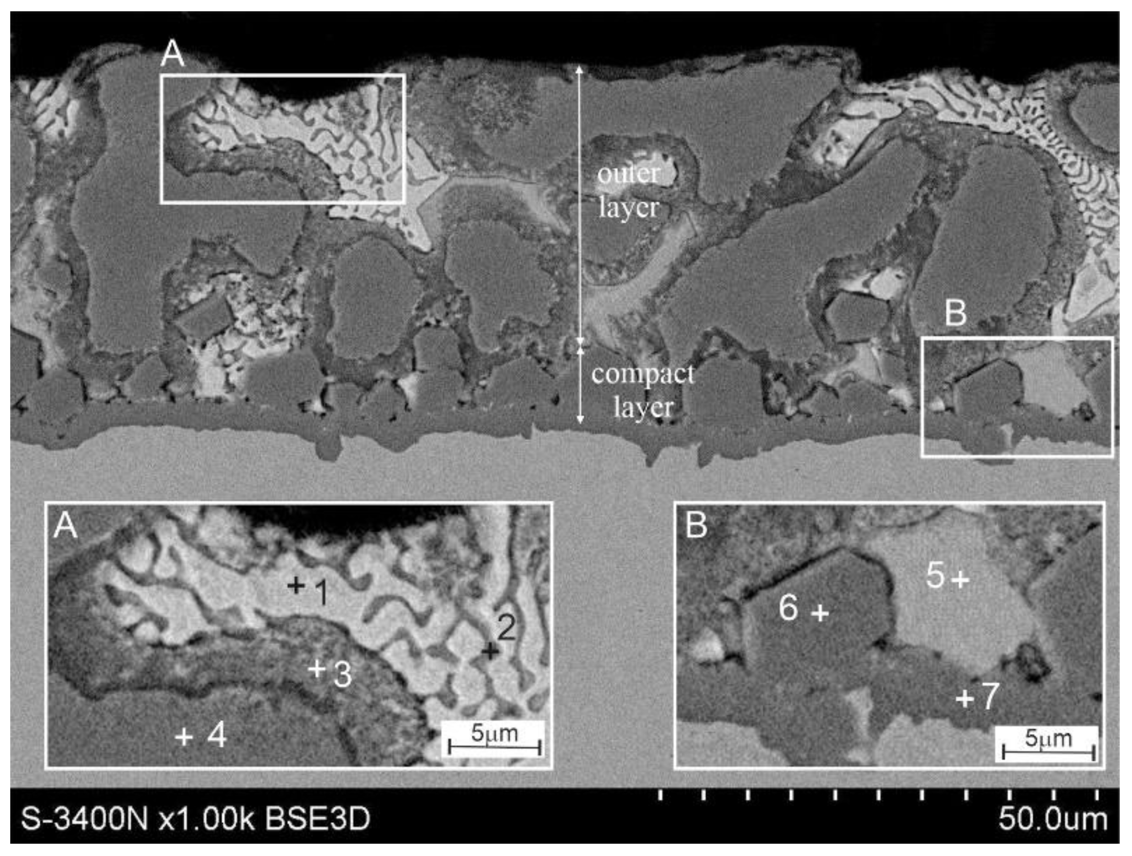 Coatings 12 01207 g003