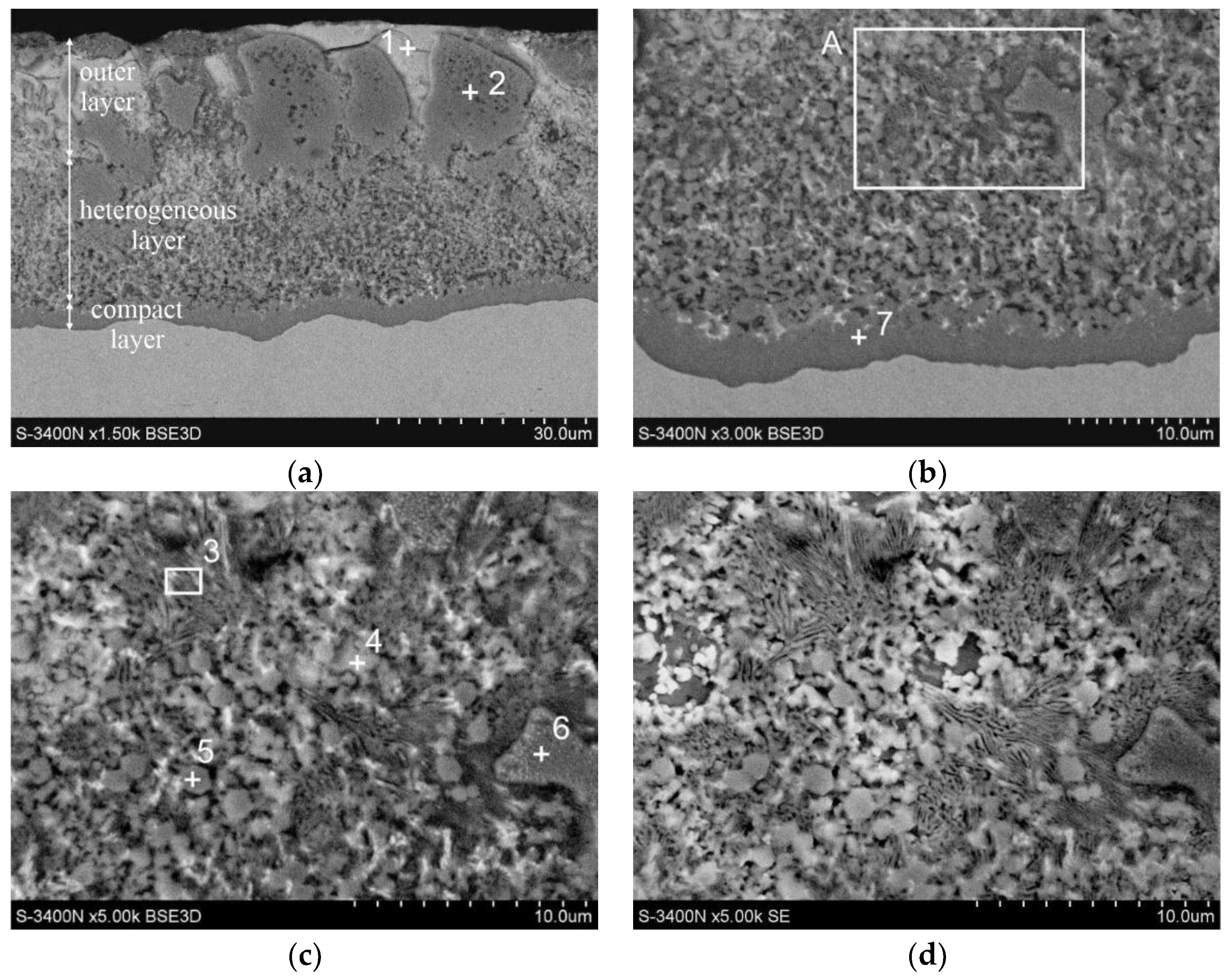 Coatings 12 01207 g004