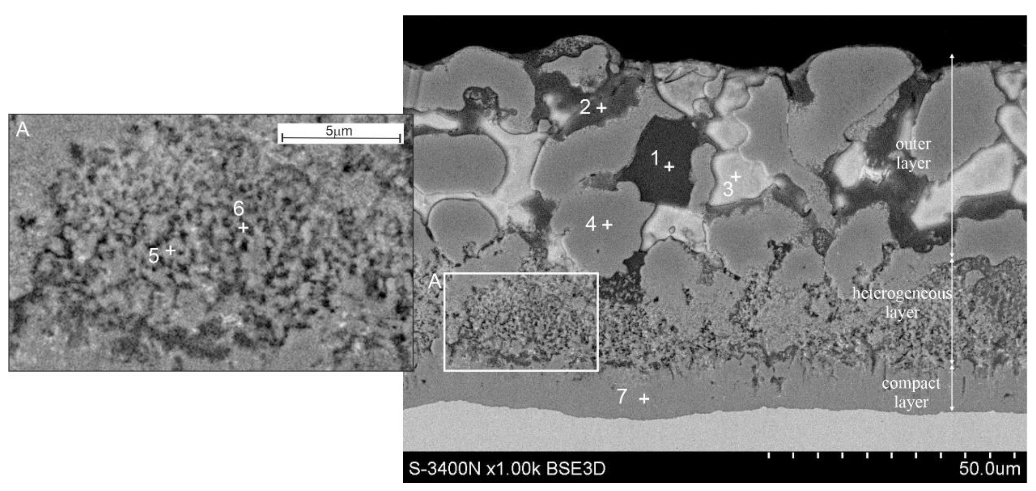 Coatings 12 01207 g005