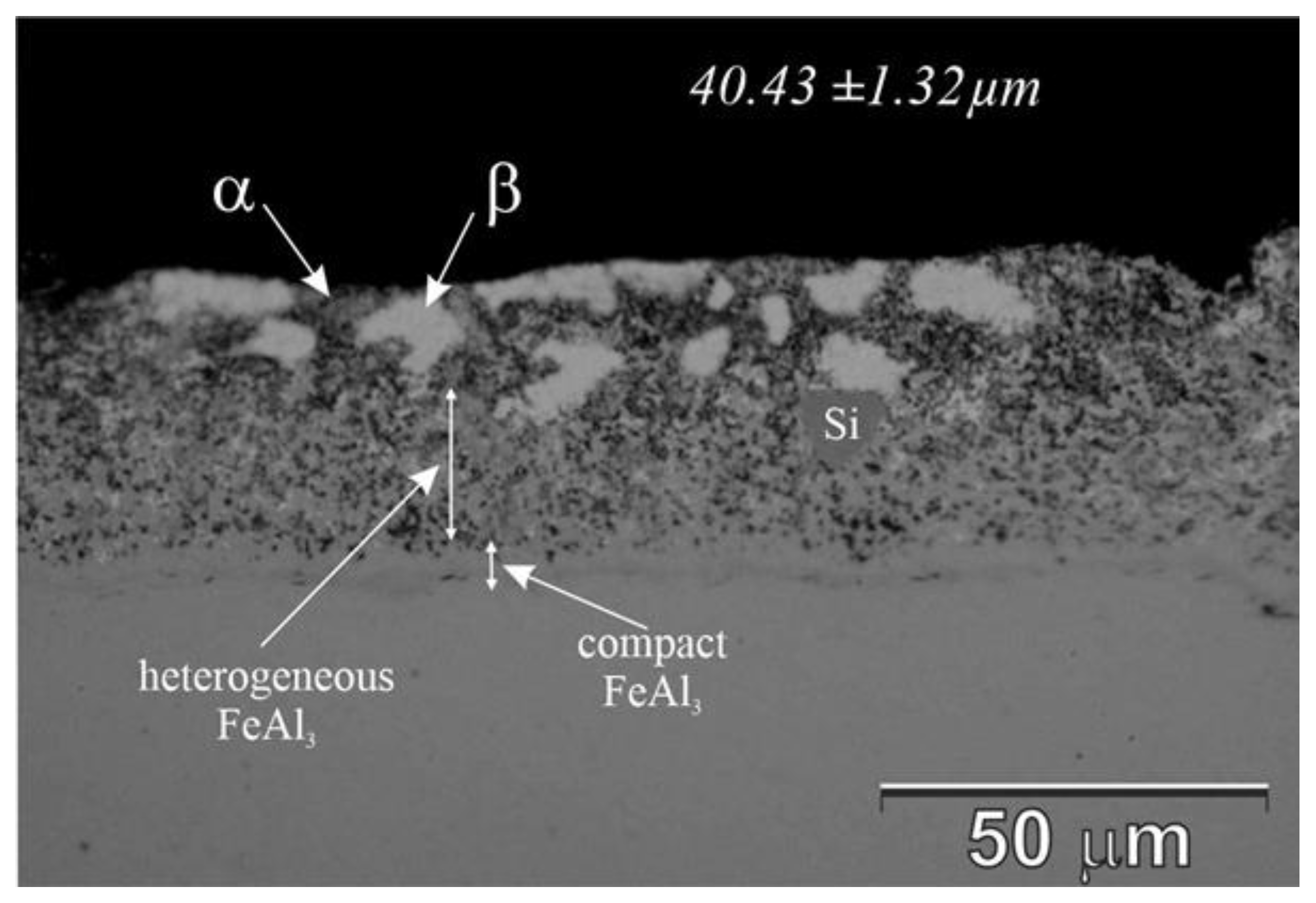 Coatings 12 01207 g007