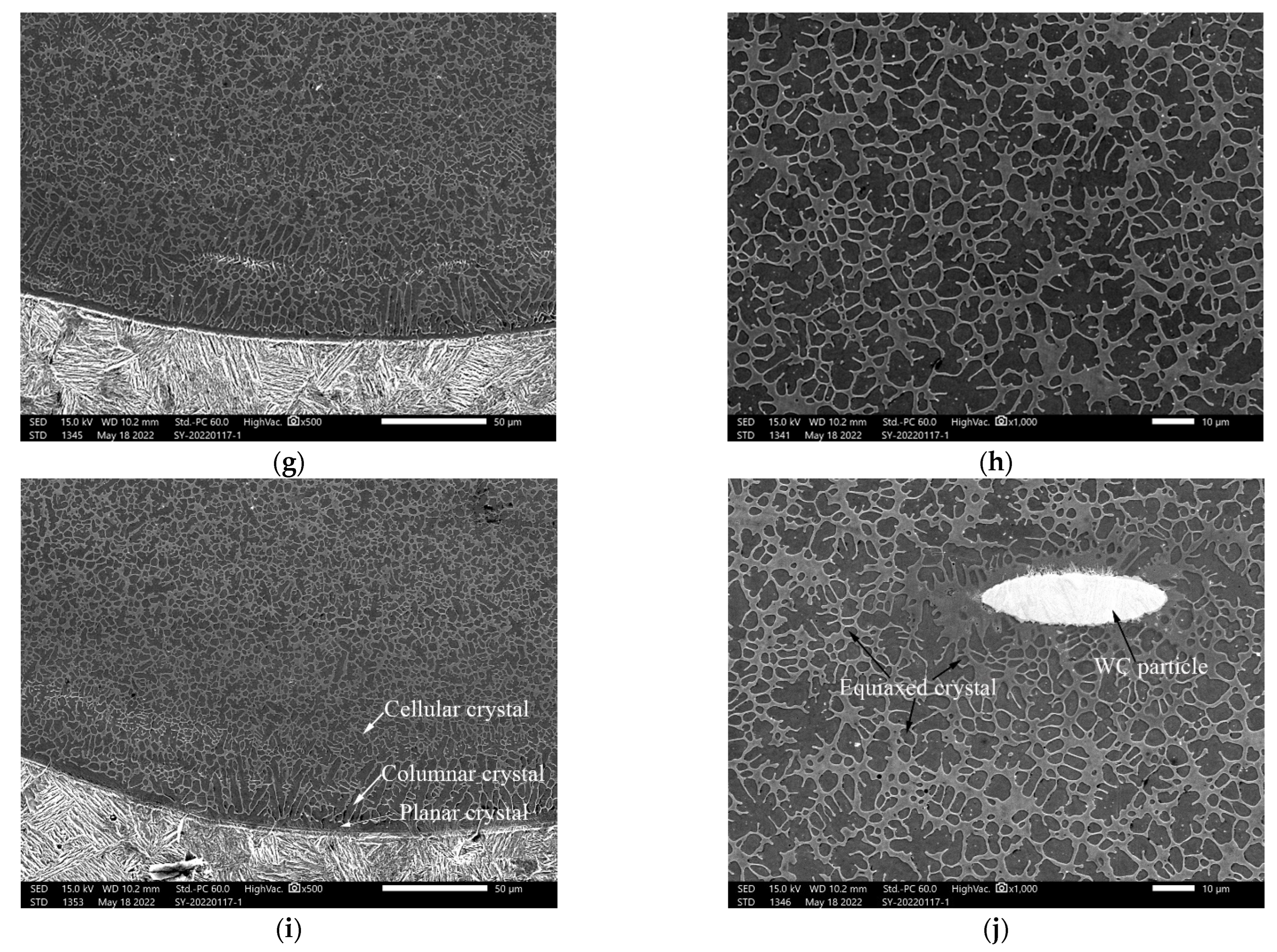 Coatings 12 01209 g002b
