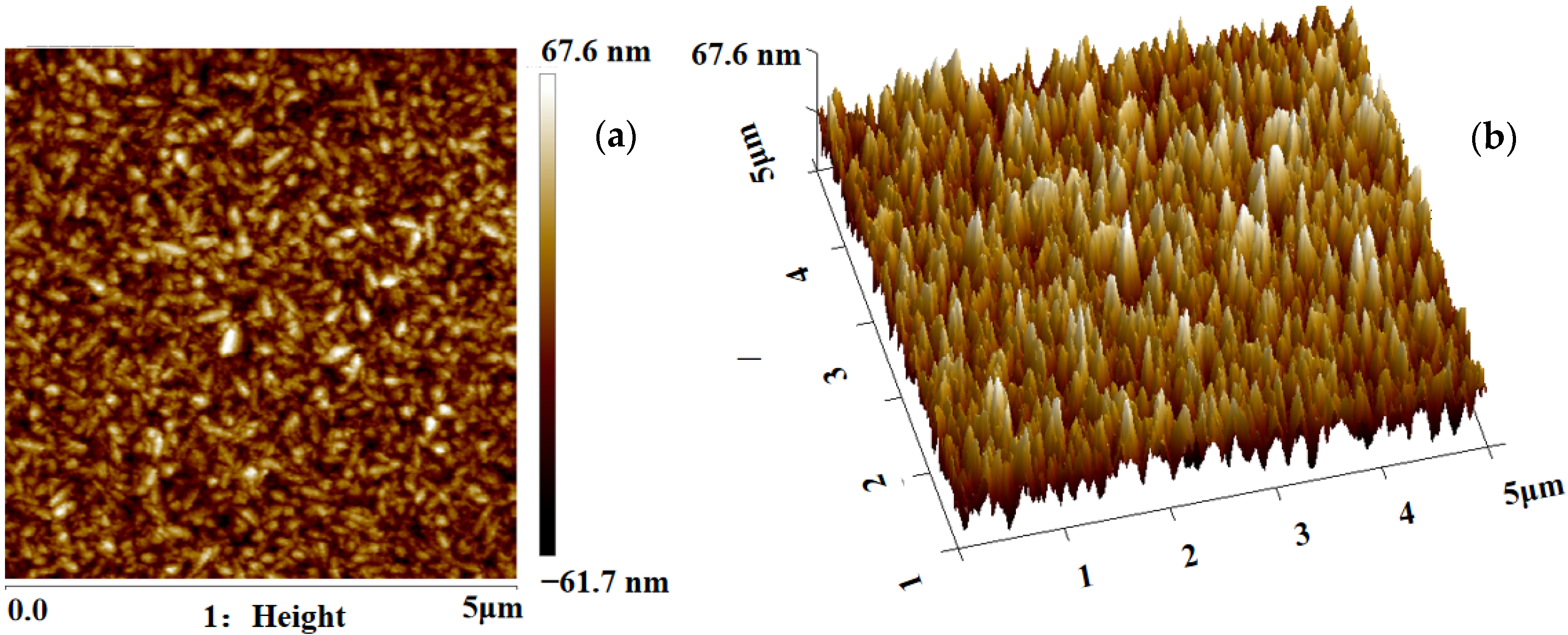 Coatings 12 01214 g002