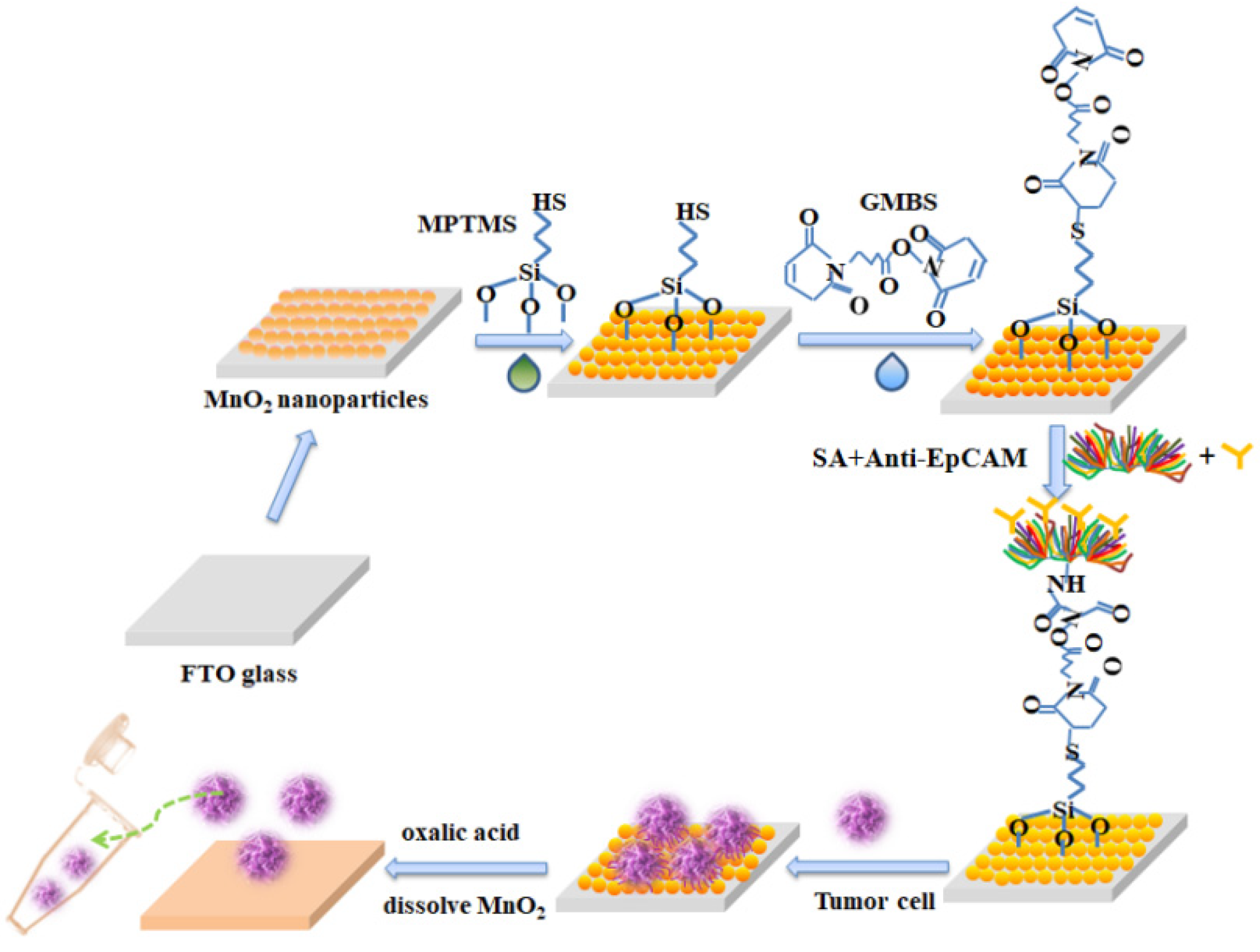 Coatings 12 01214 g004