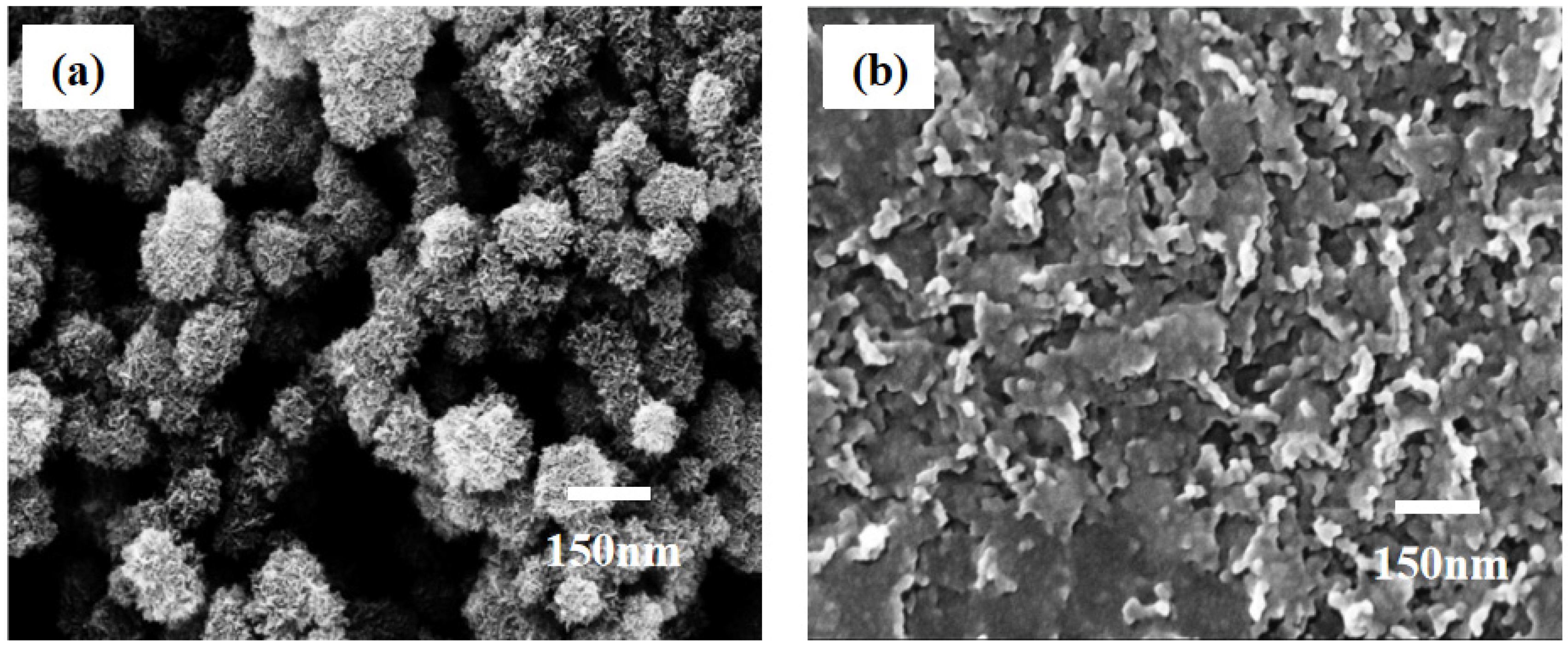 Coatings 12 01214 g006