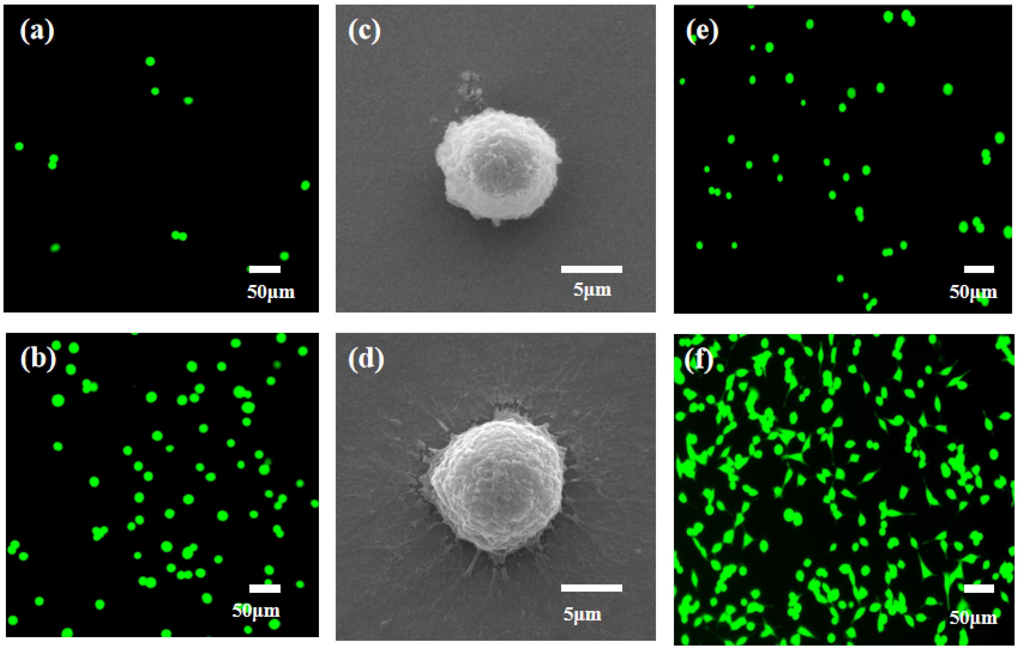 Coatings 12 01214 g007