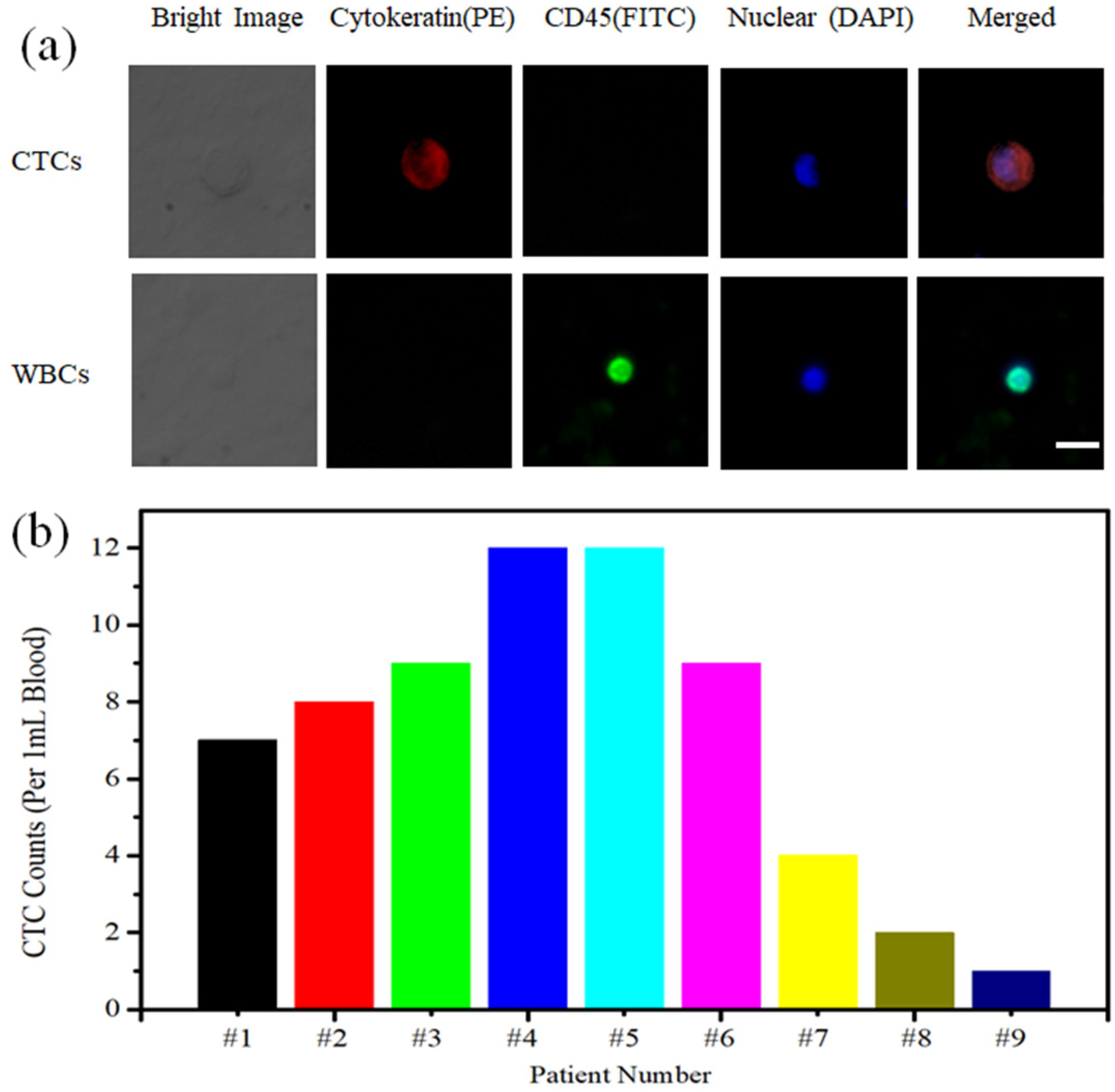 Coatings 12 01214 g008