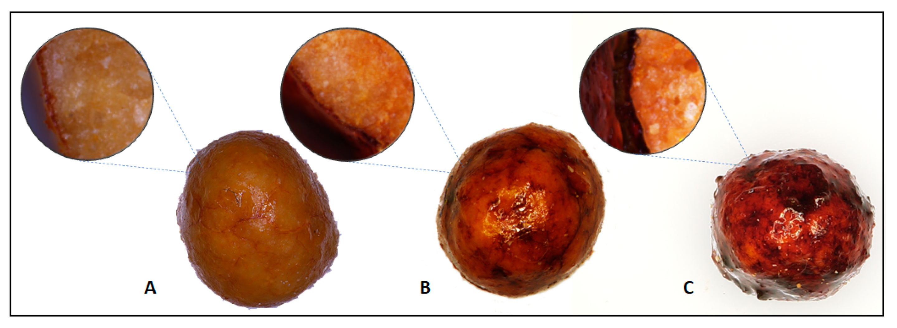 Coatings 12 01215 g004
