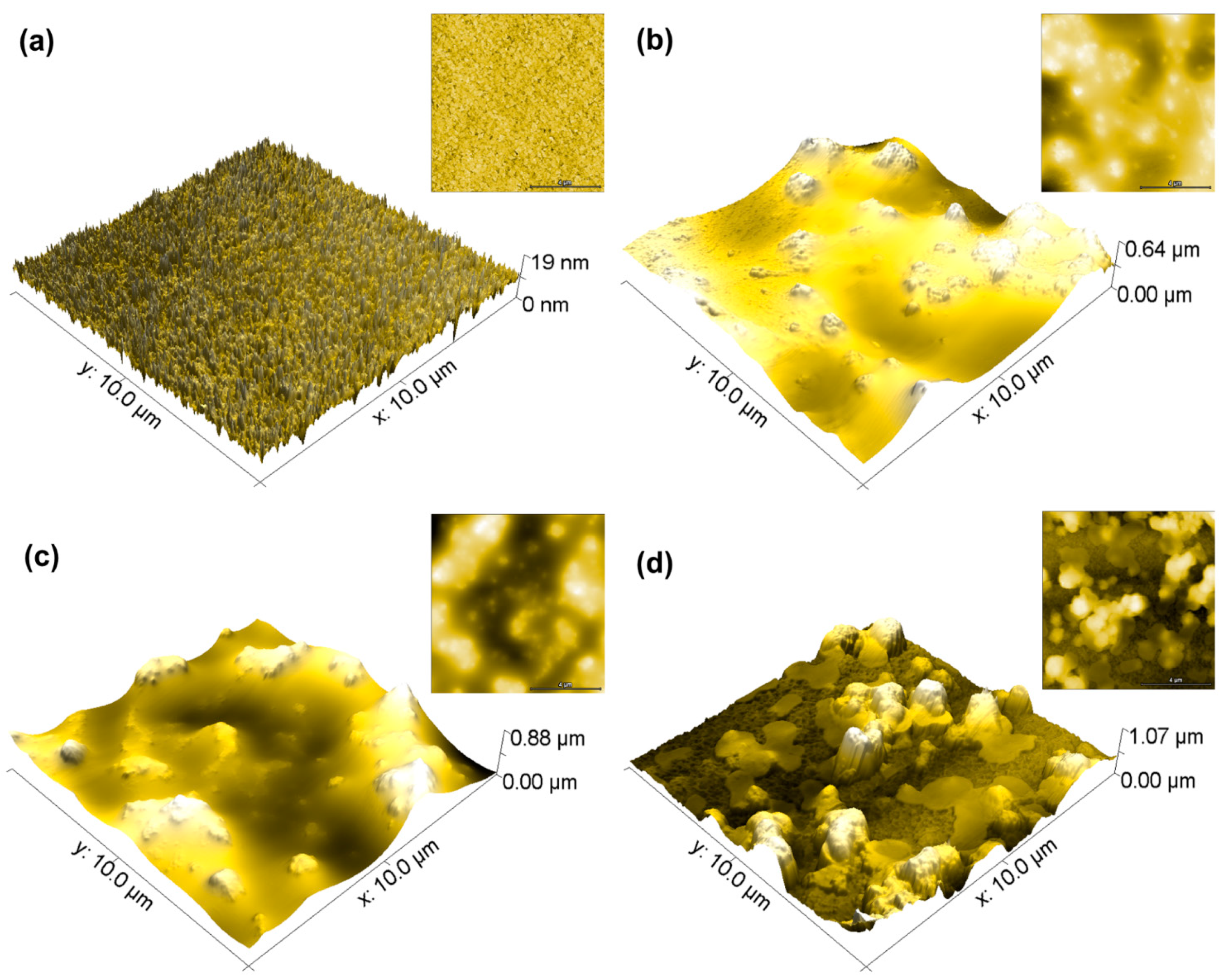 Coatings 12 01216 g001