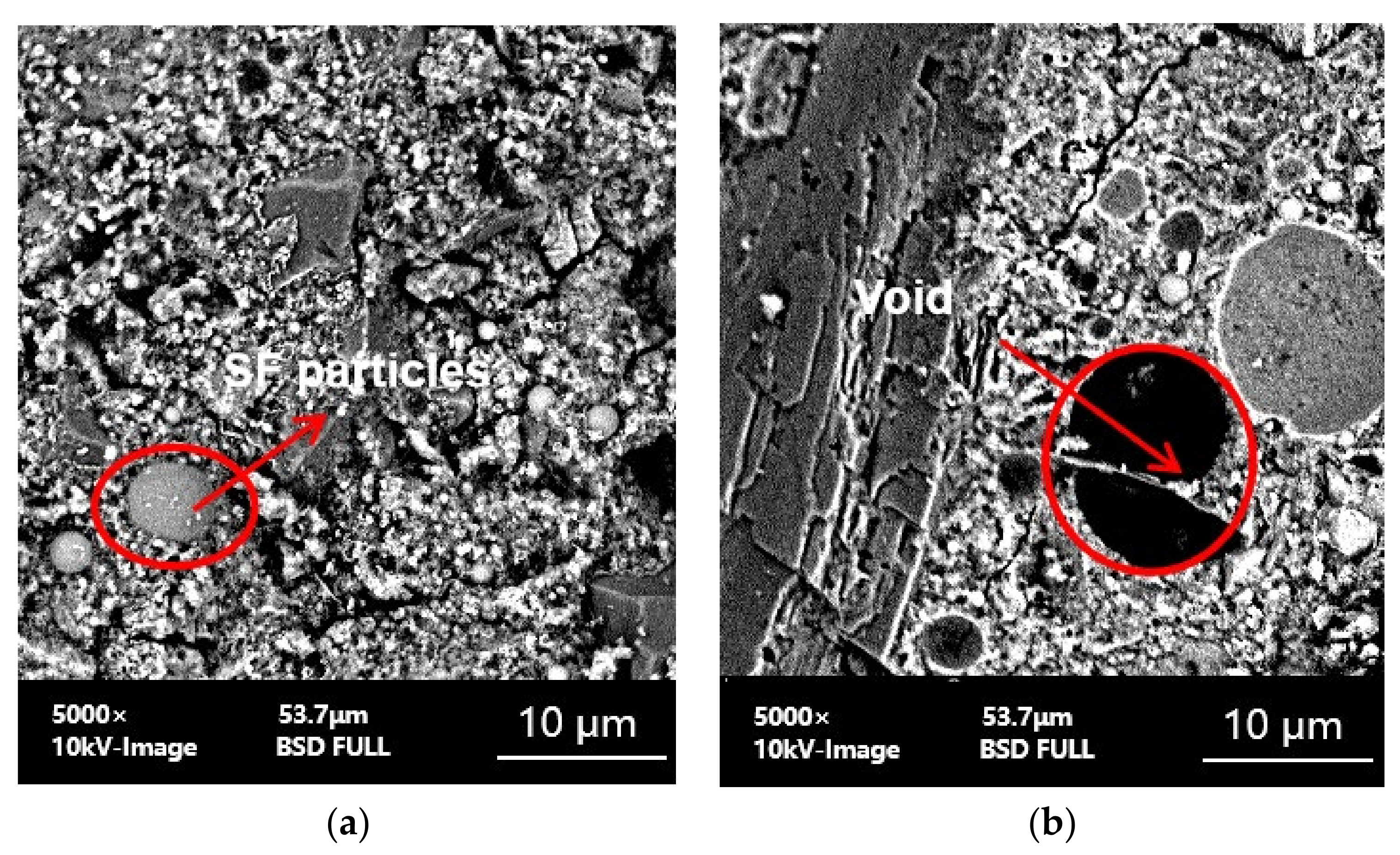 Coatings 12 01219 g012