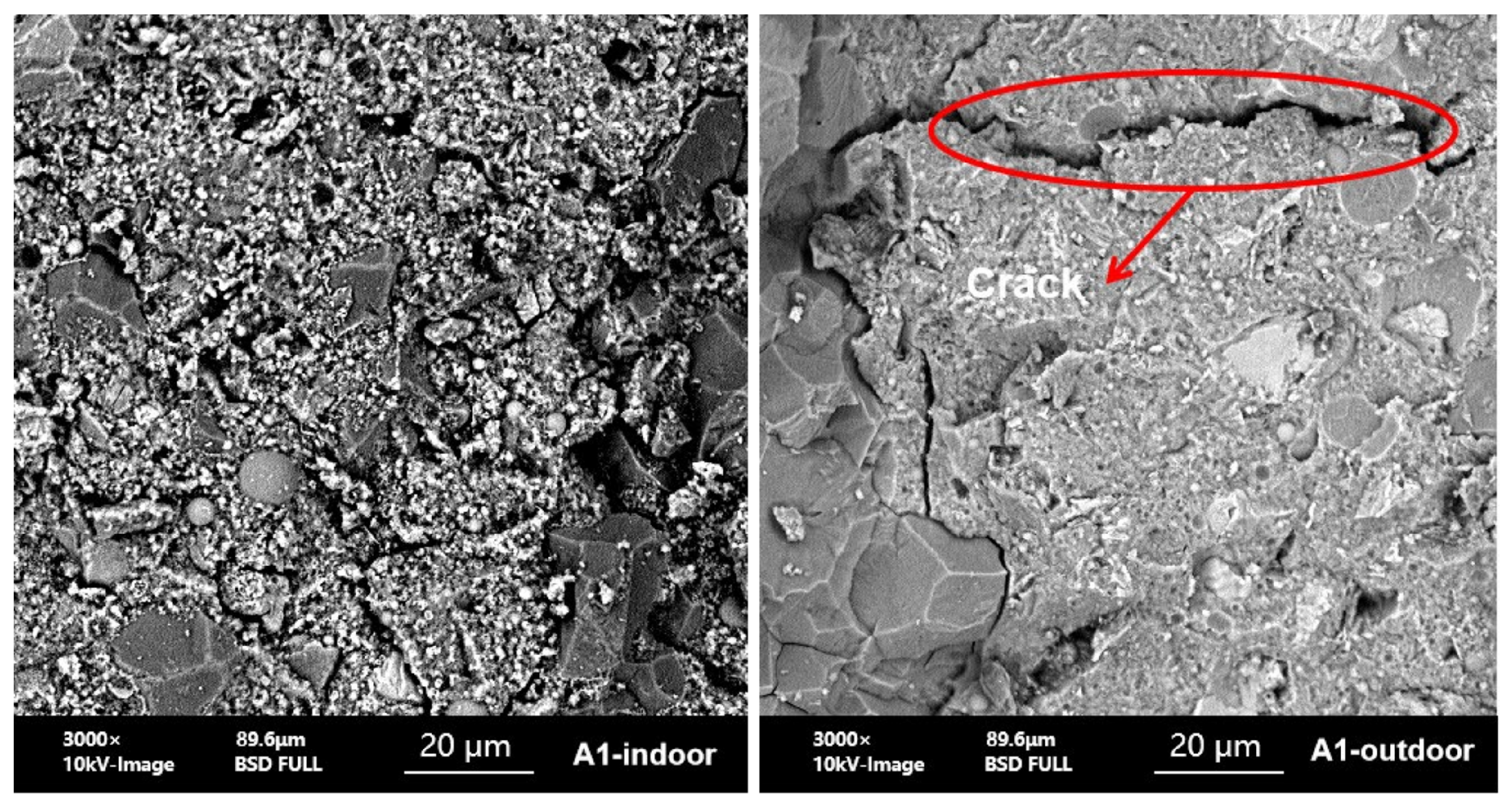 Coatings 12 01219 g015