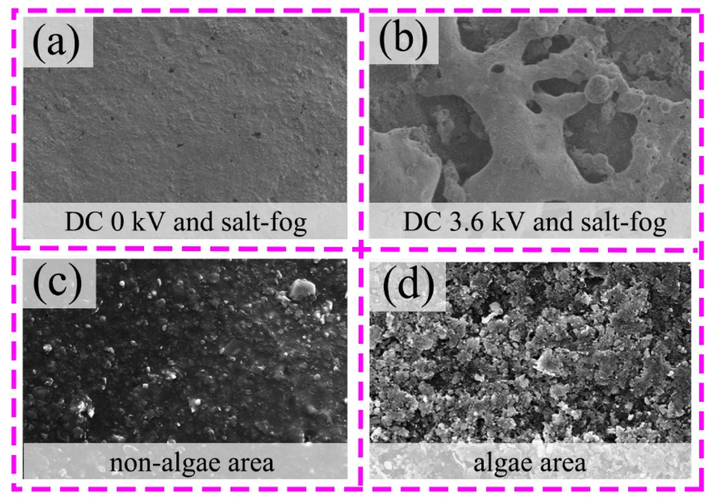 Coatings 12 01224 g002