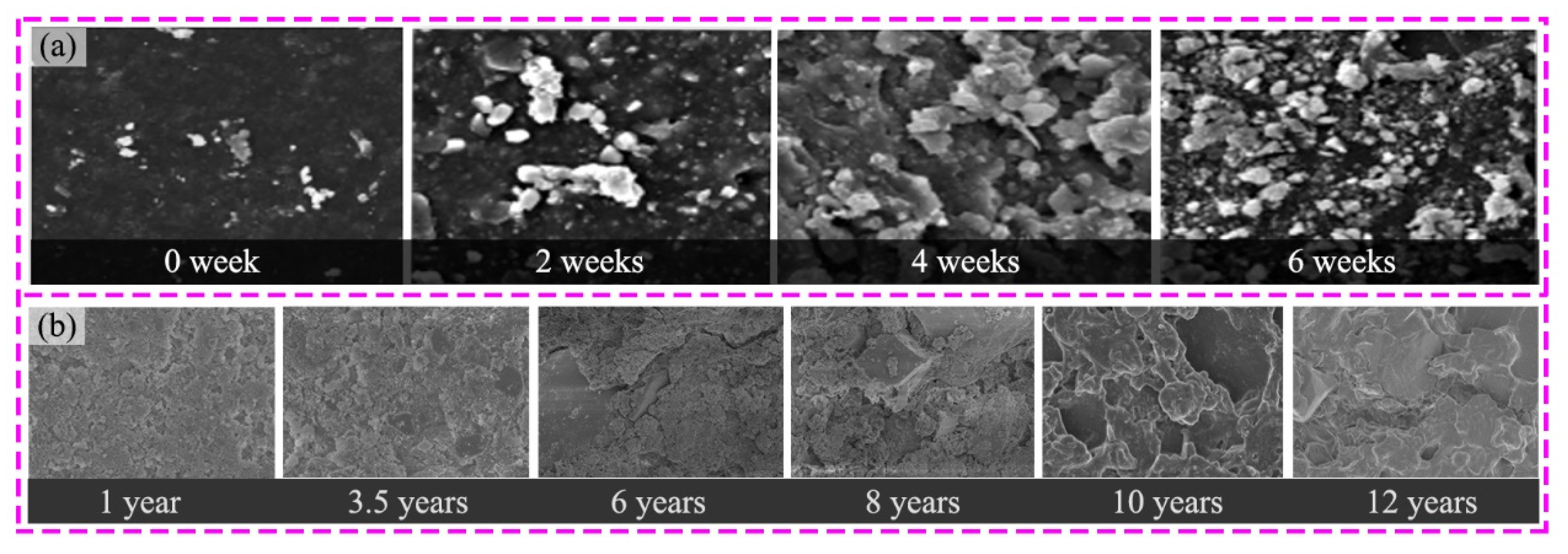 Coatings 12 01224 g008