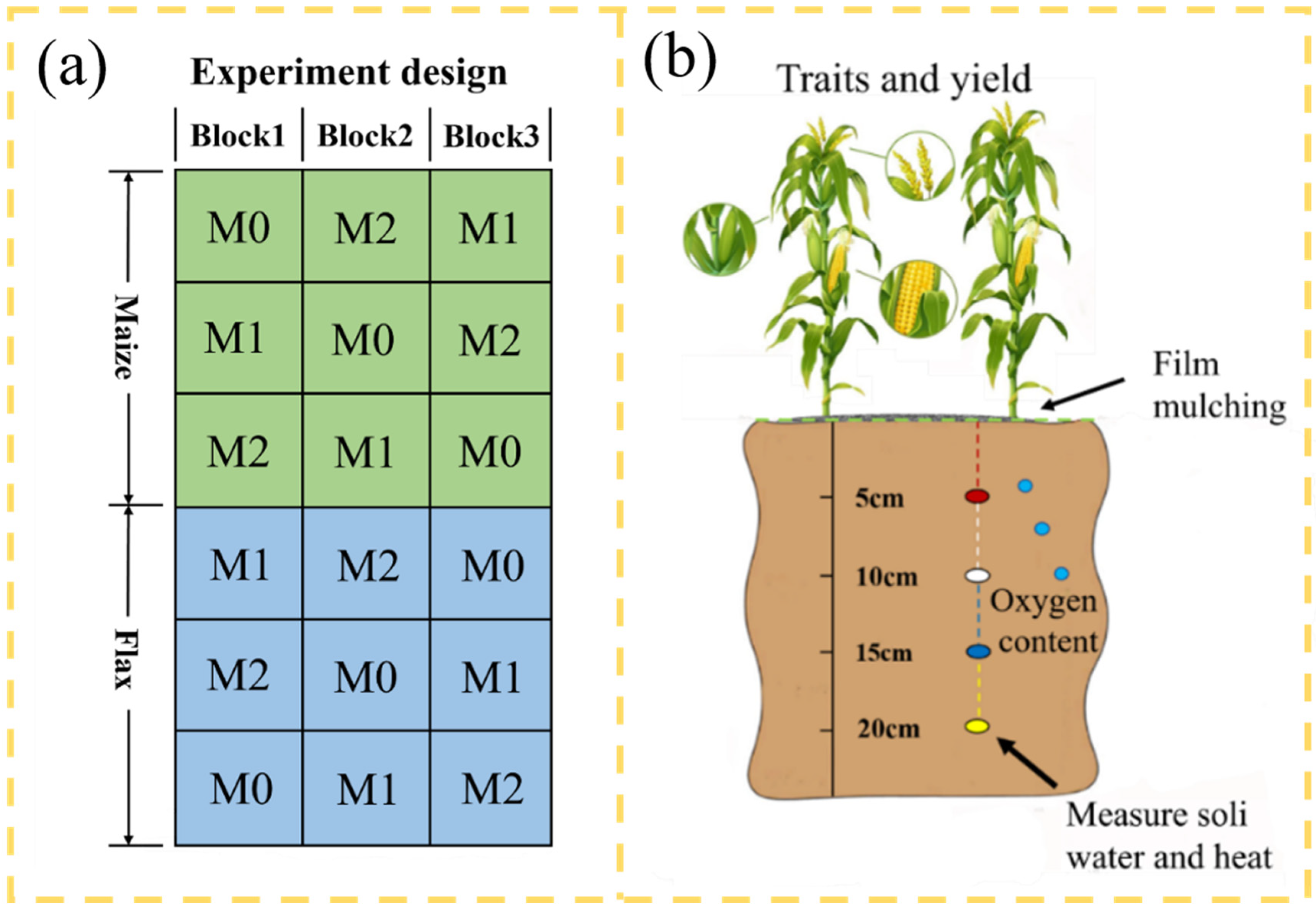 Coatings 12 01225 g003