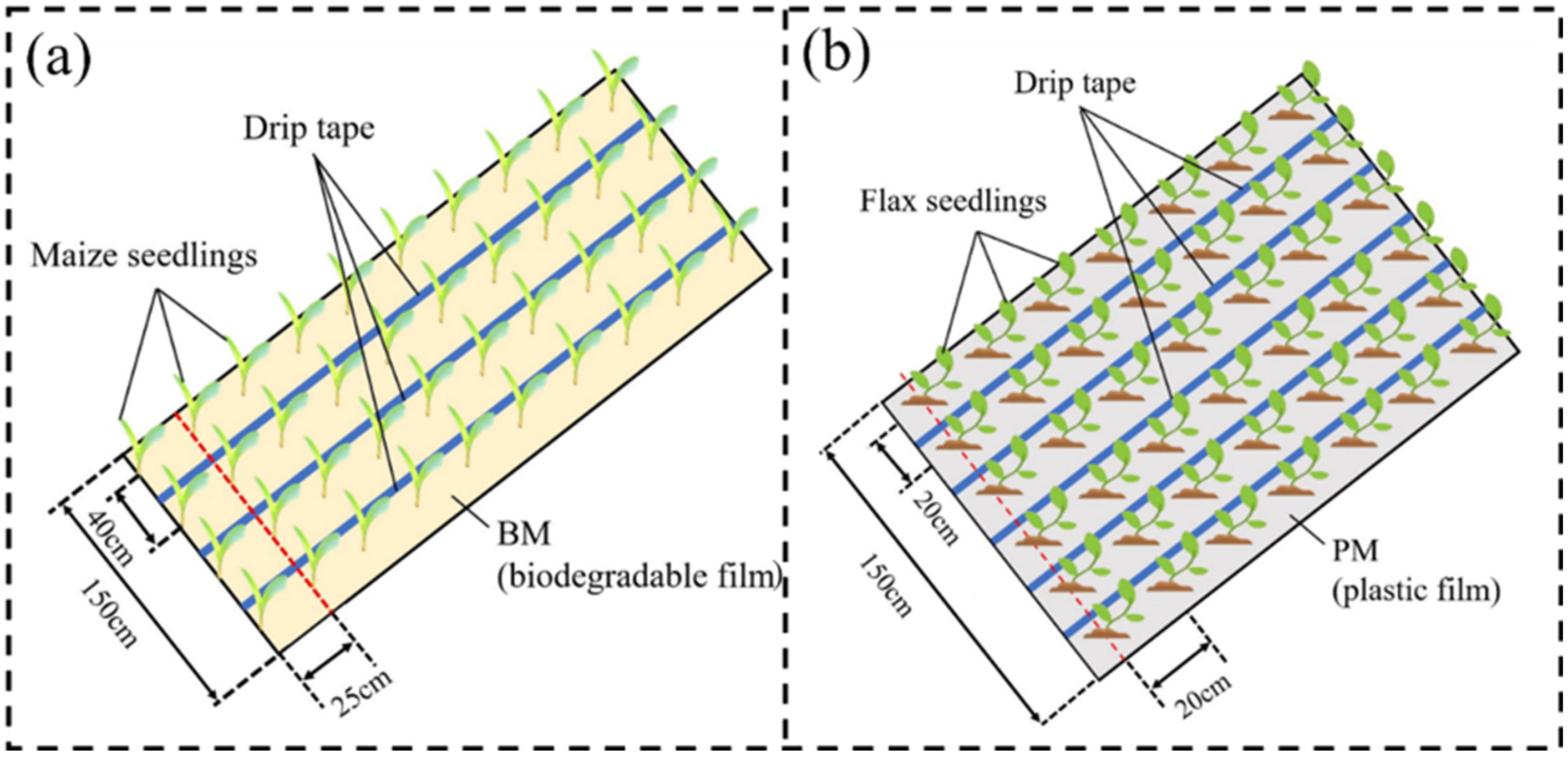 Coatings 12 01225 g004