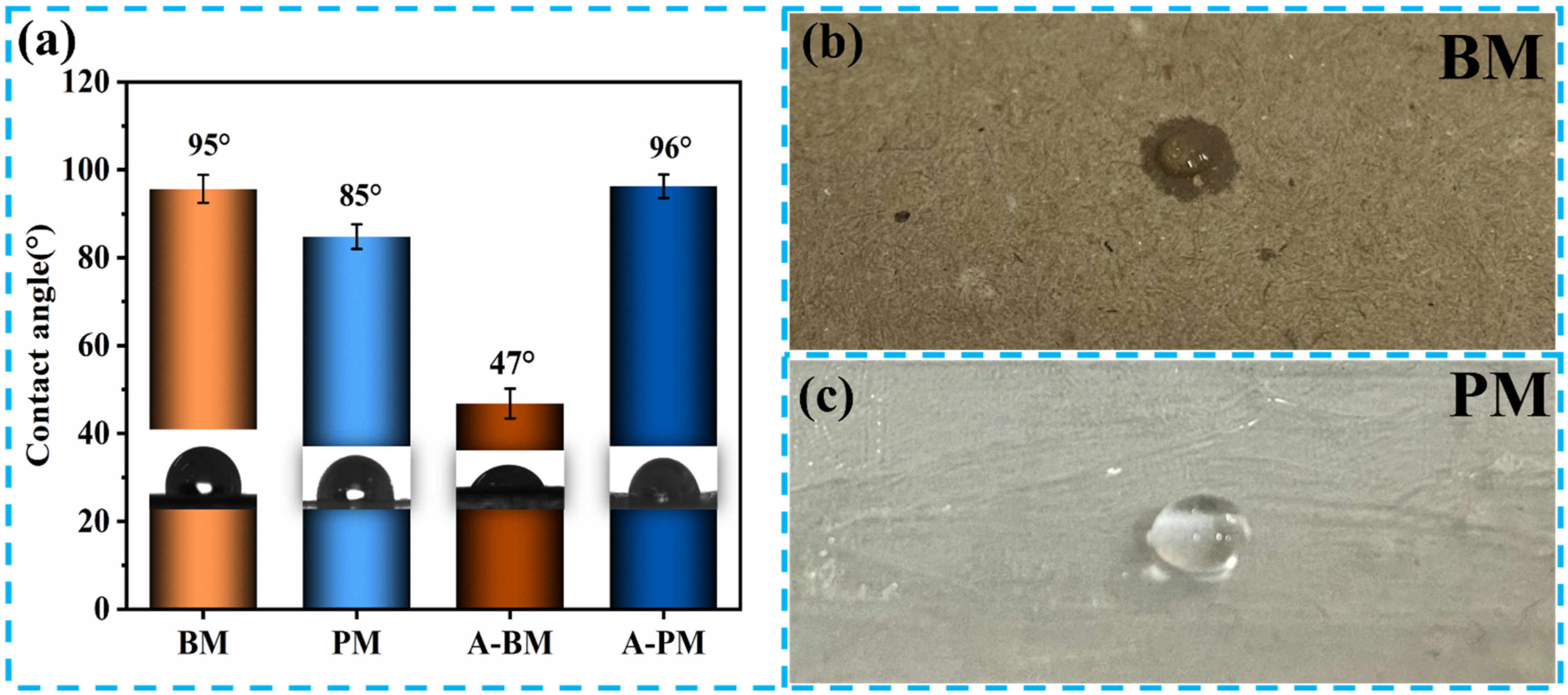 Coatings 12 01225 g007
