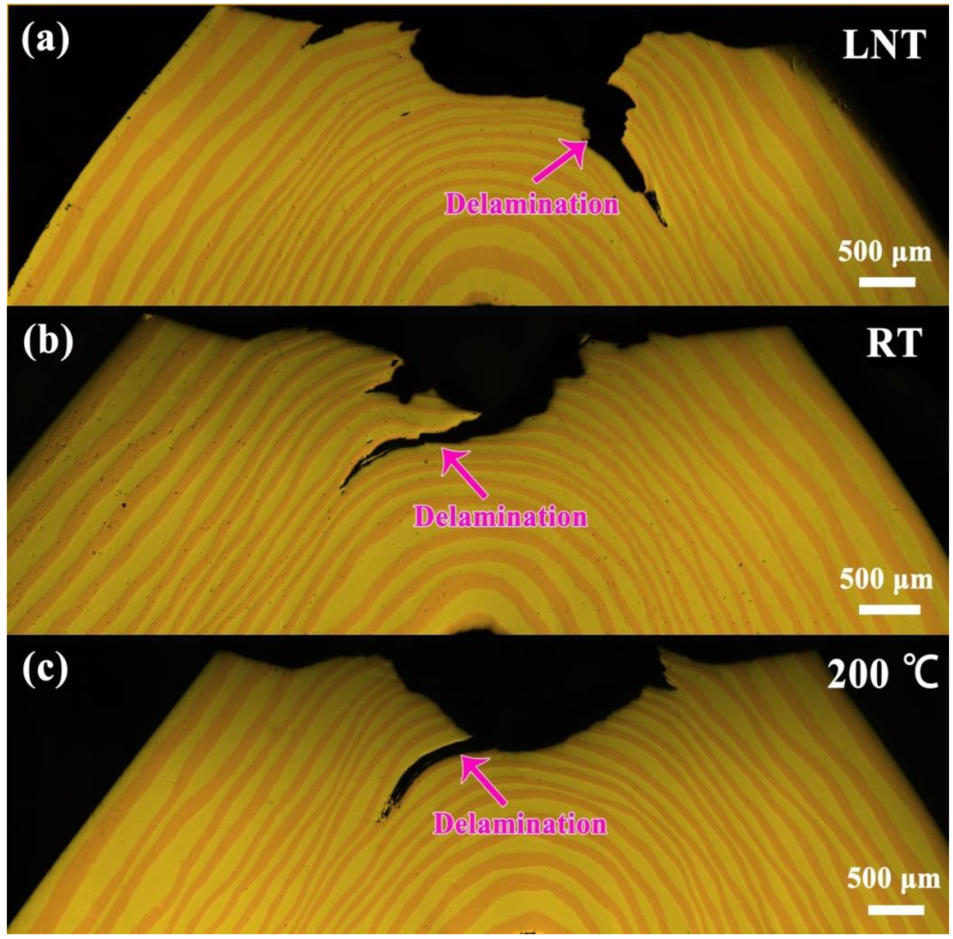 Coatings 12 01236 g007