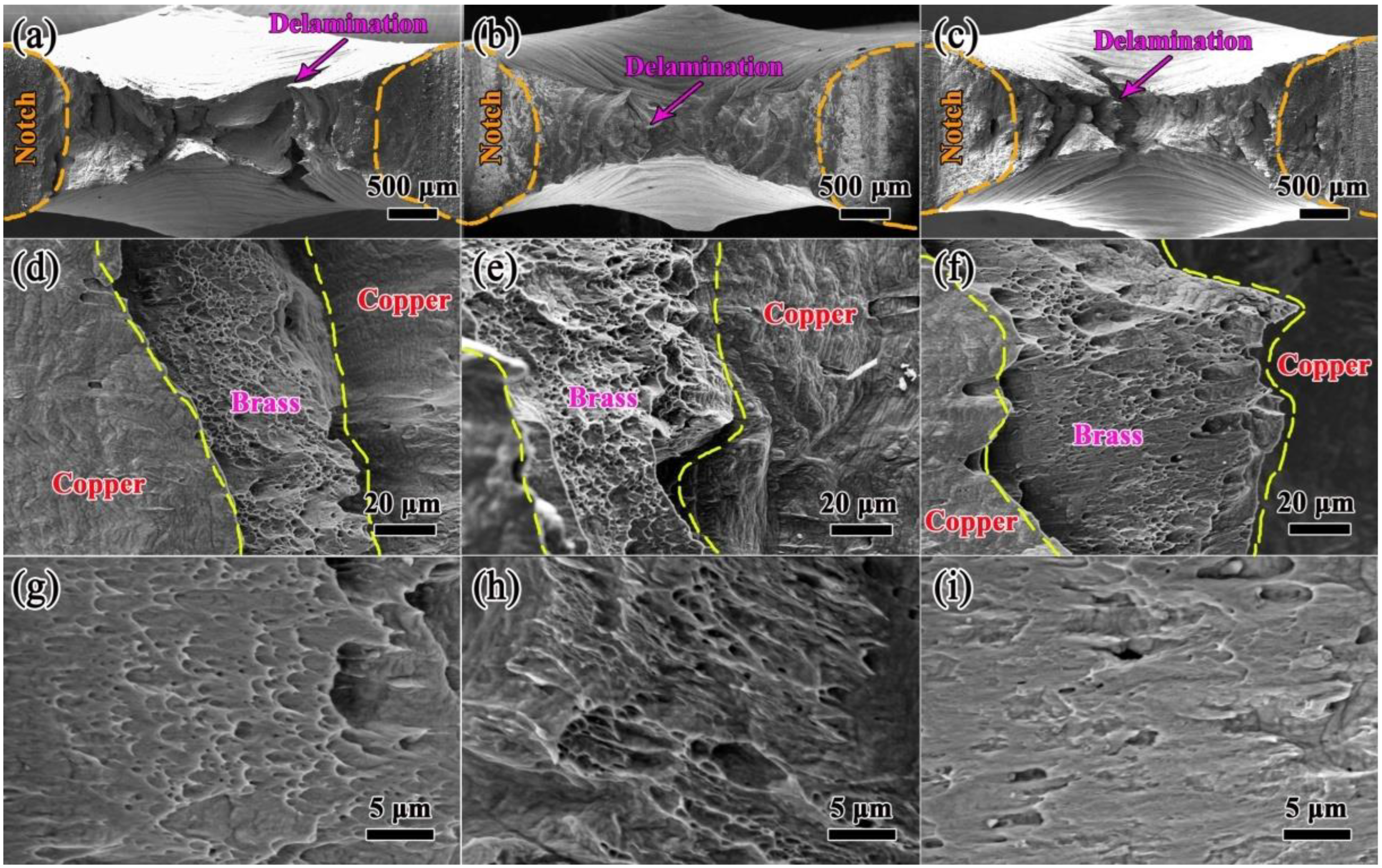 Coatings 12 01236 g008