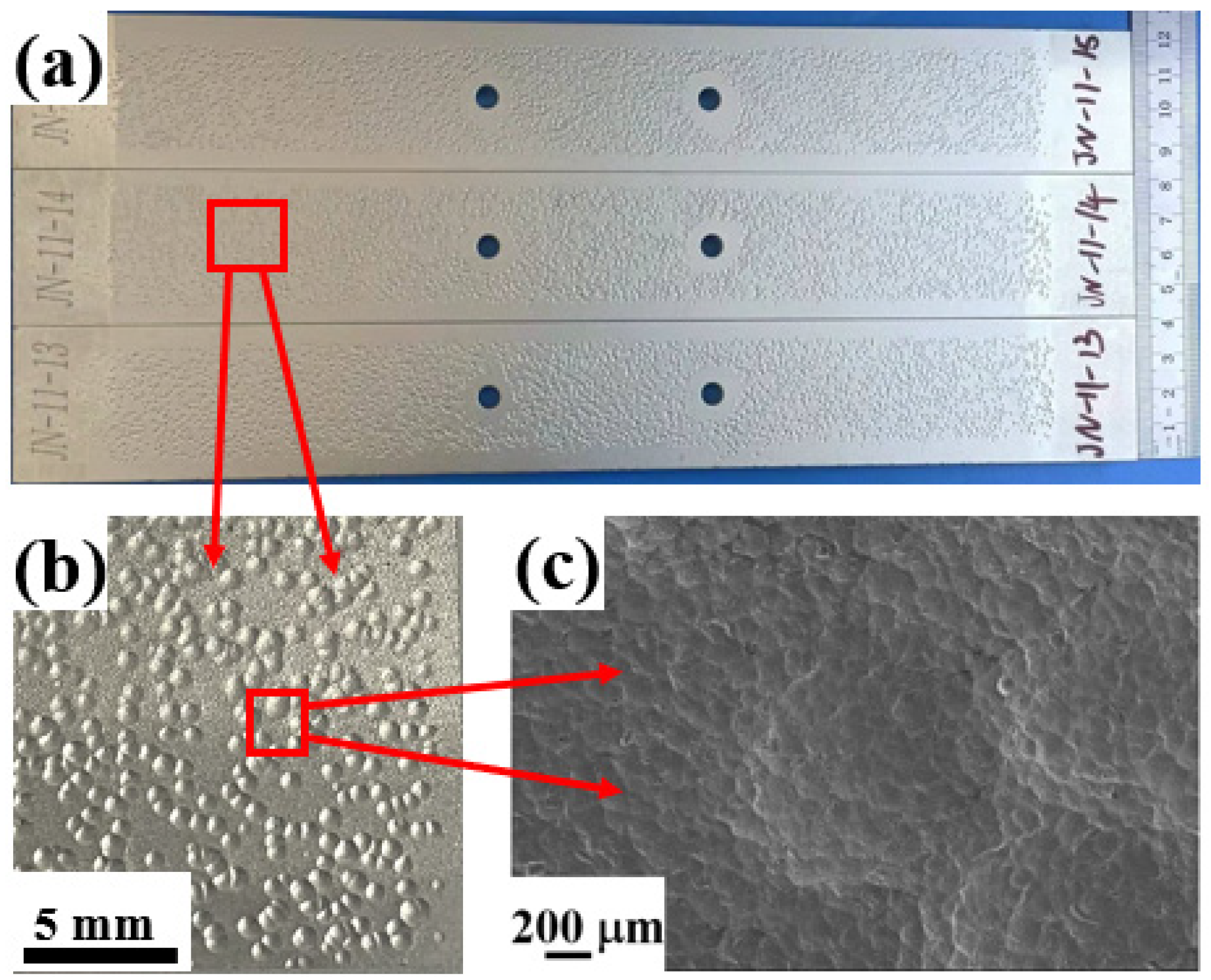 Coatings 12 01237 g002