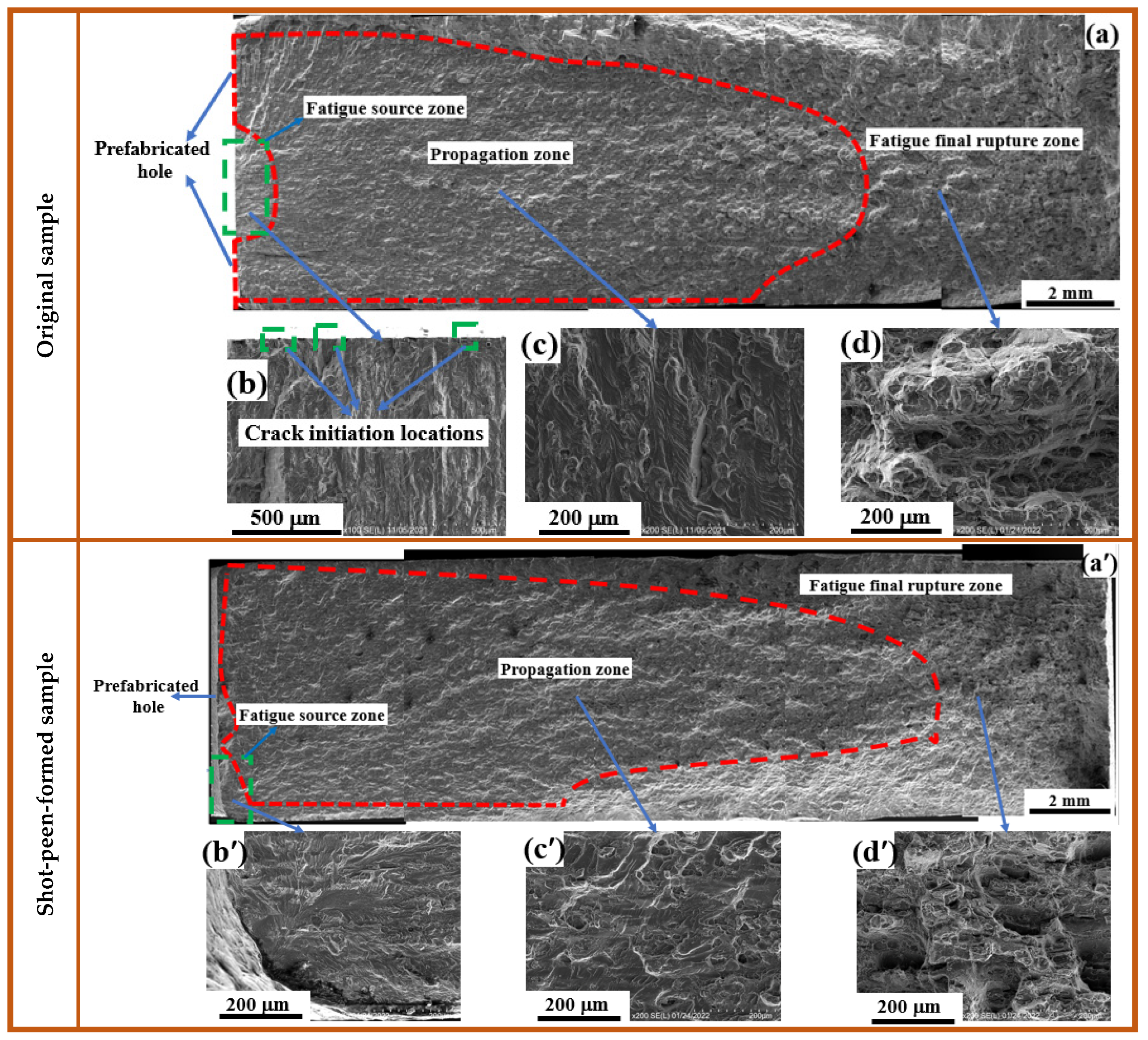 Coatings 12 01237 g005