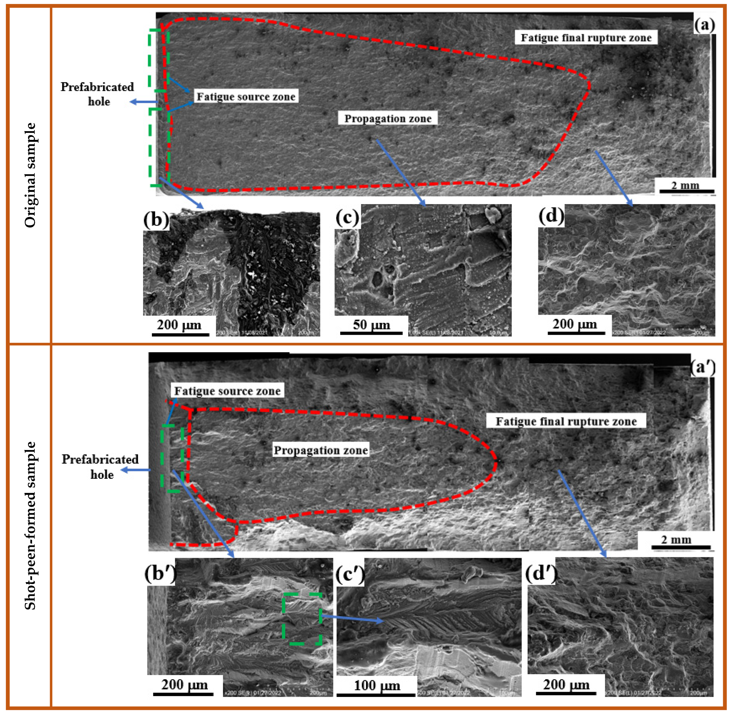 Coatings 12 01237 g006