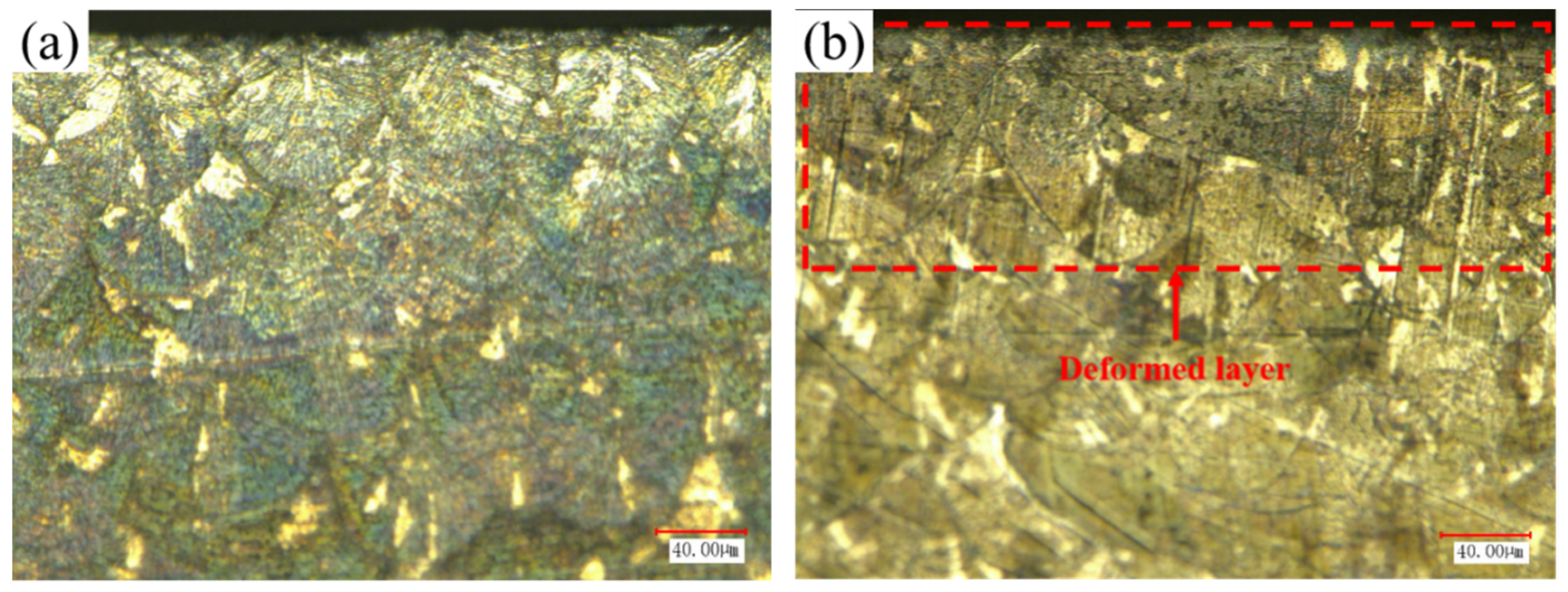 Coatings 12 01243 g004