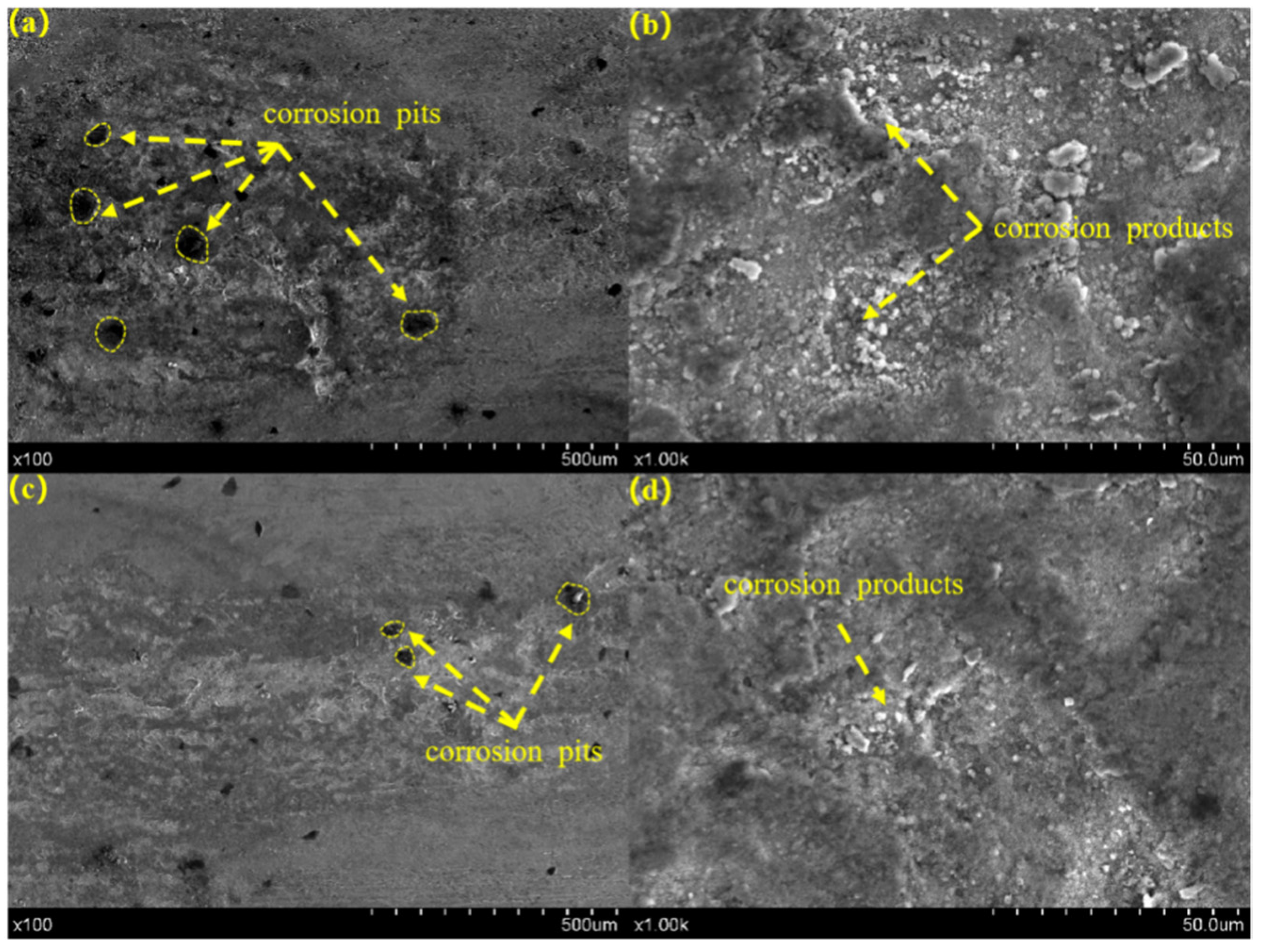 Coatings 12 01243 g009