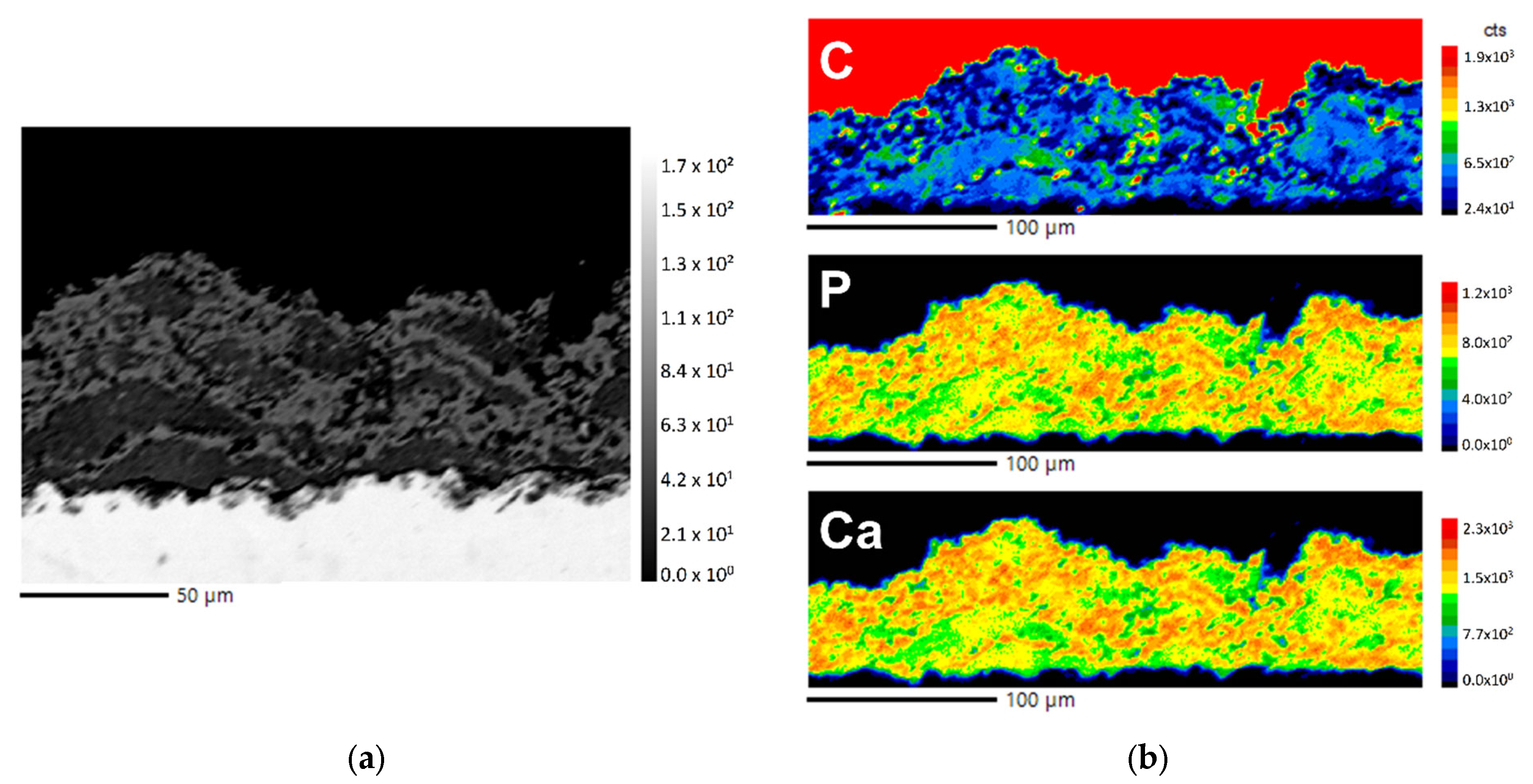 Coatings 12 01251 g005