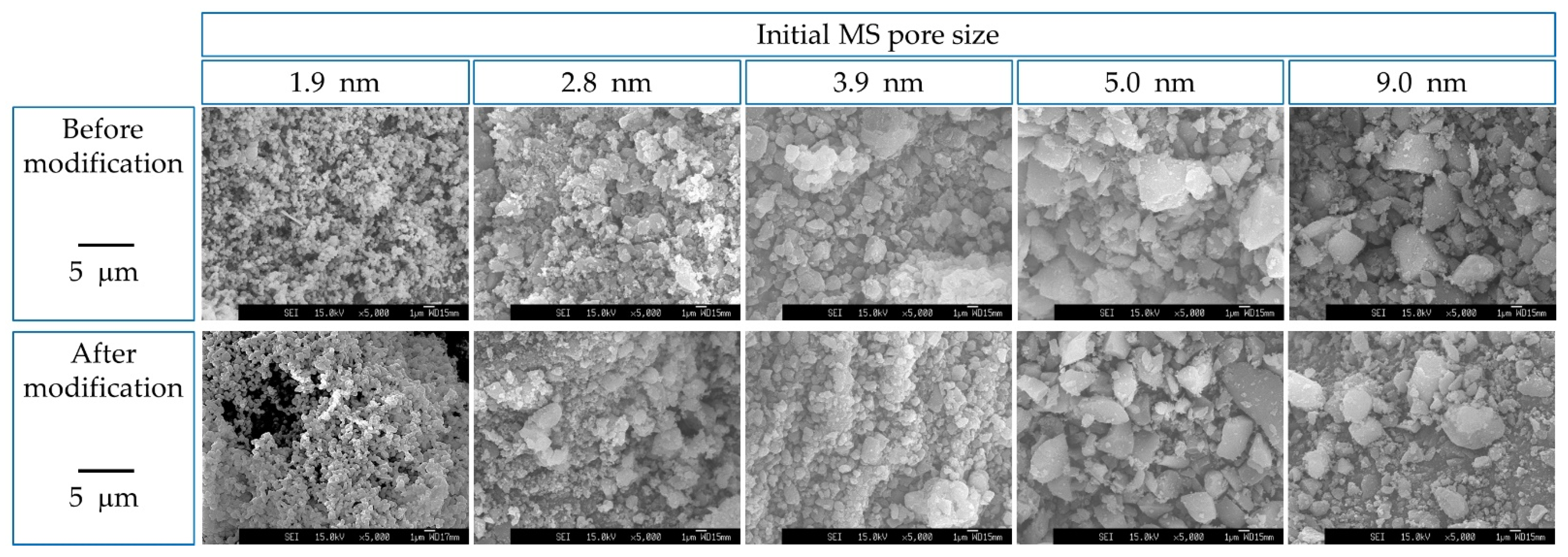 Coatings 12 01258 g001