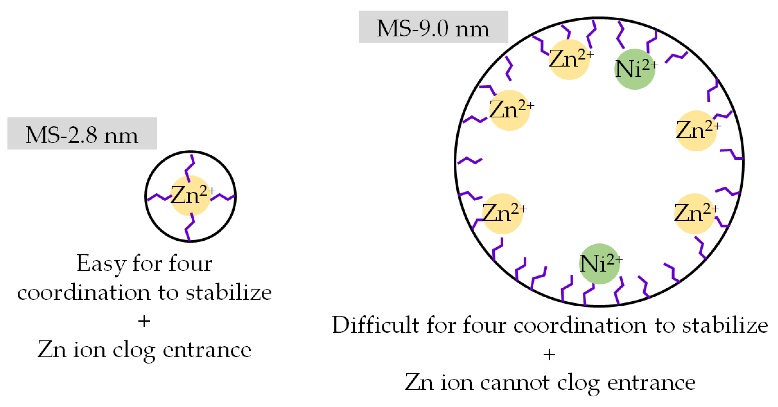 Coatings 12 01258 g012