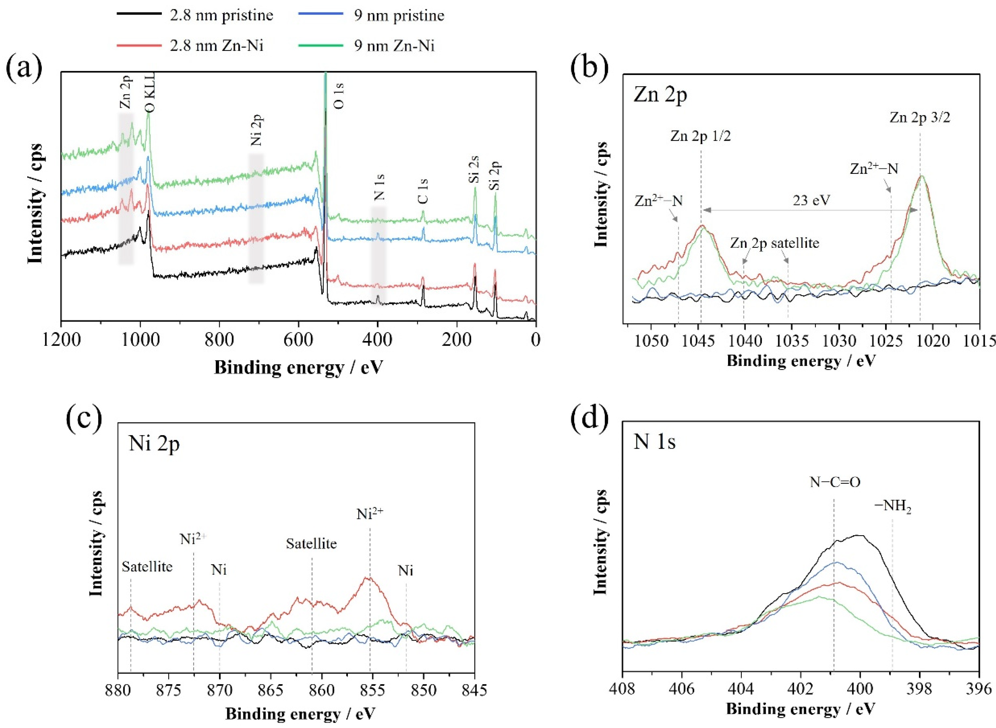 Coatings 12 01258 g014