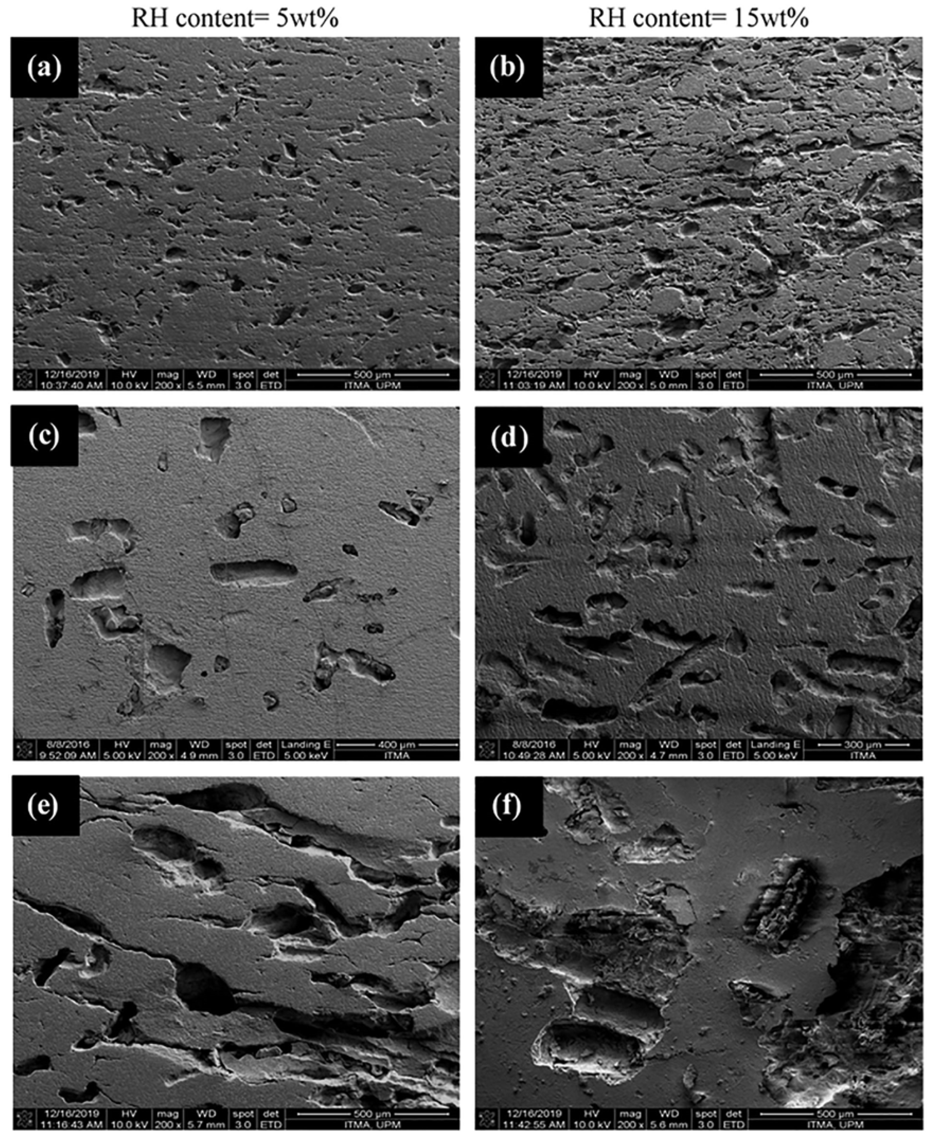 Coatings 12 01259 g004