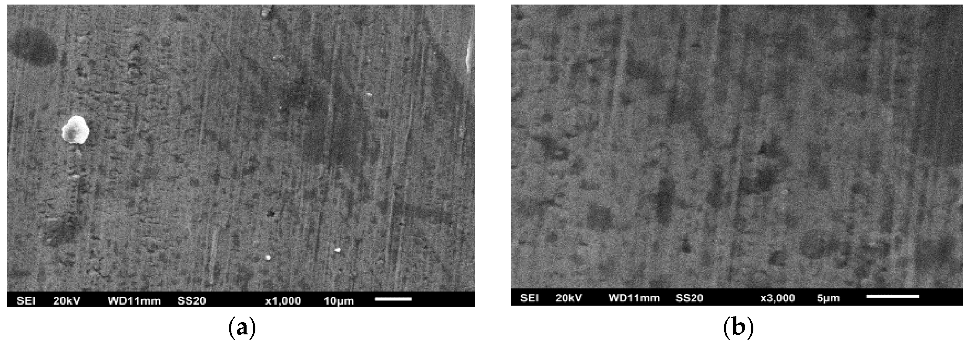 Coatings 12 01266 g002a