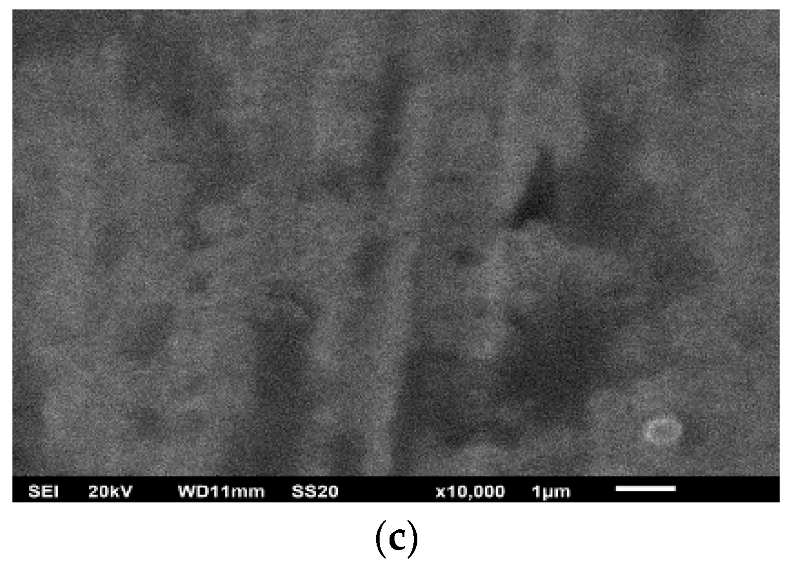Coatings 12 01266 g002b