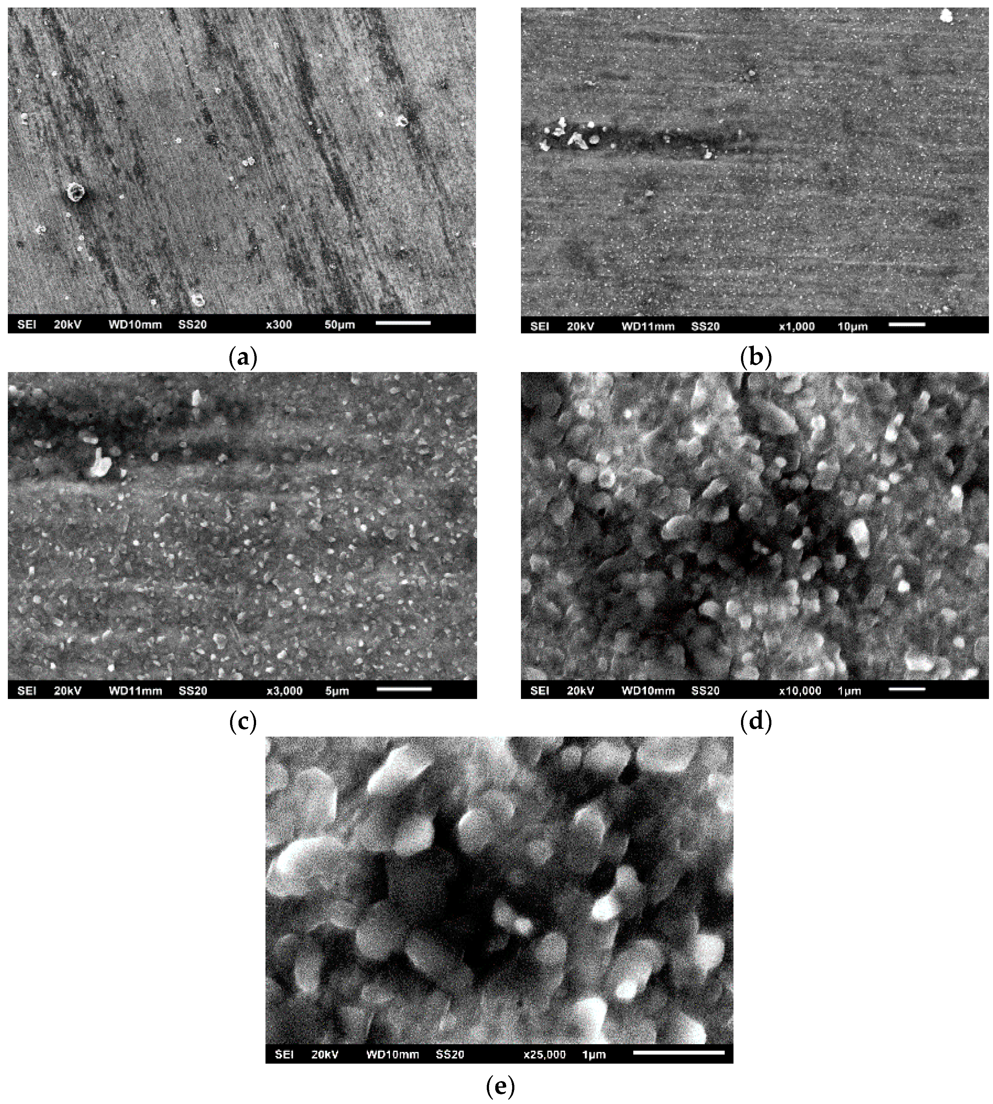 Coatings 12 01266 g003