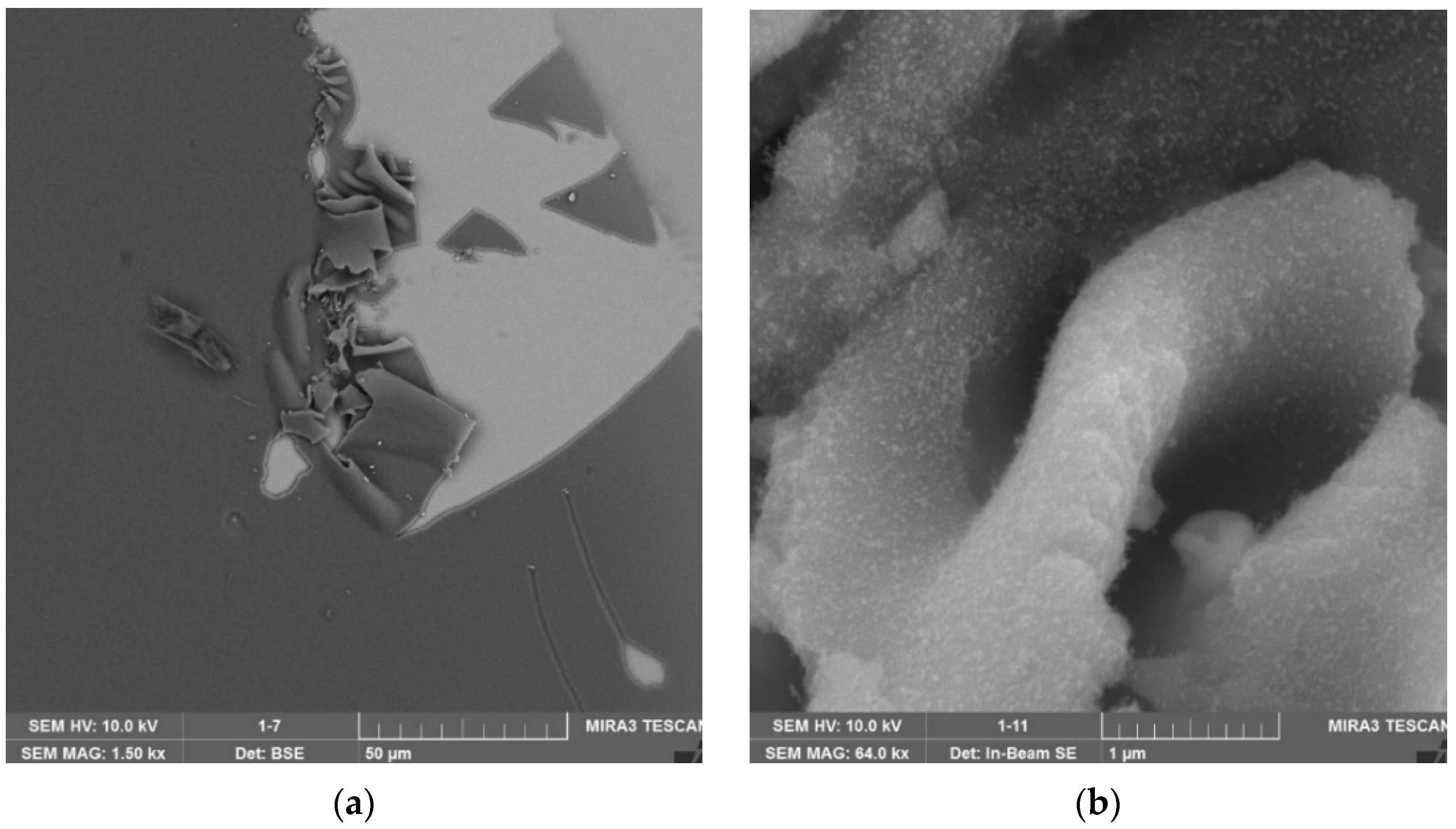 Coatings 12 01267 g015